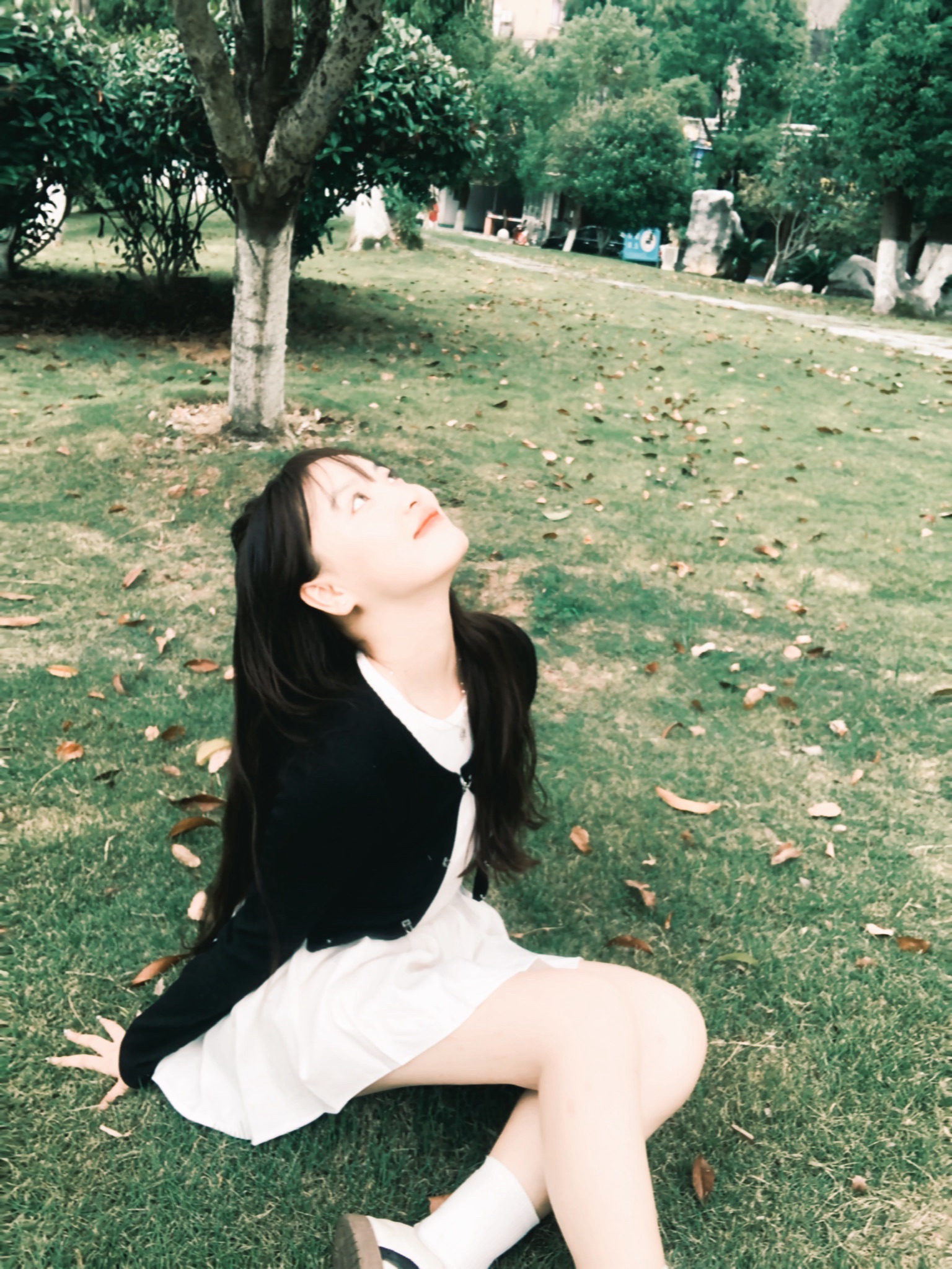 甘露公园旅行图片 2