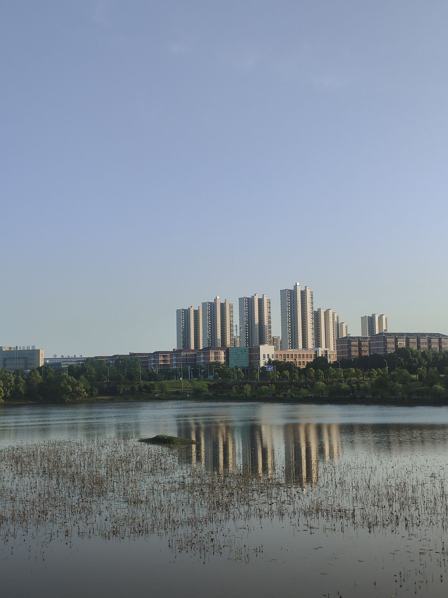 甘露公园旅行图片 2