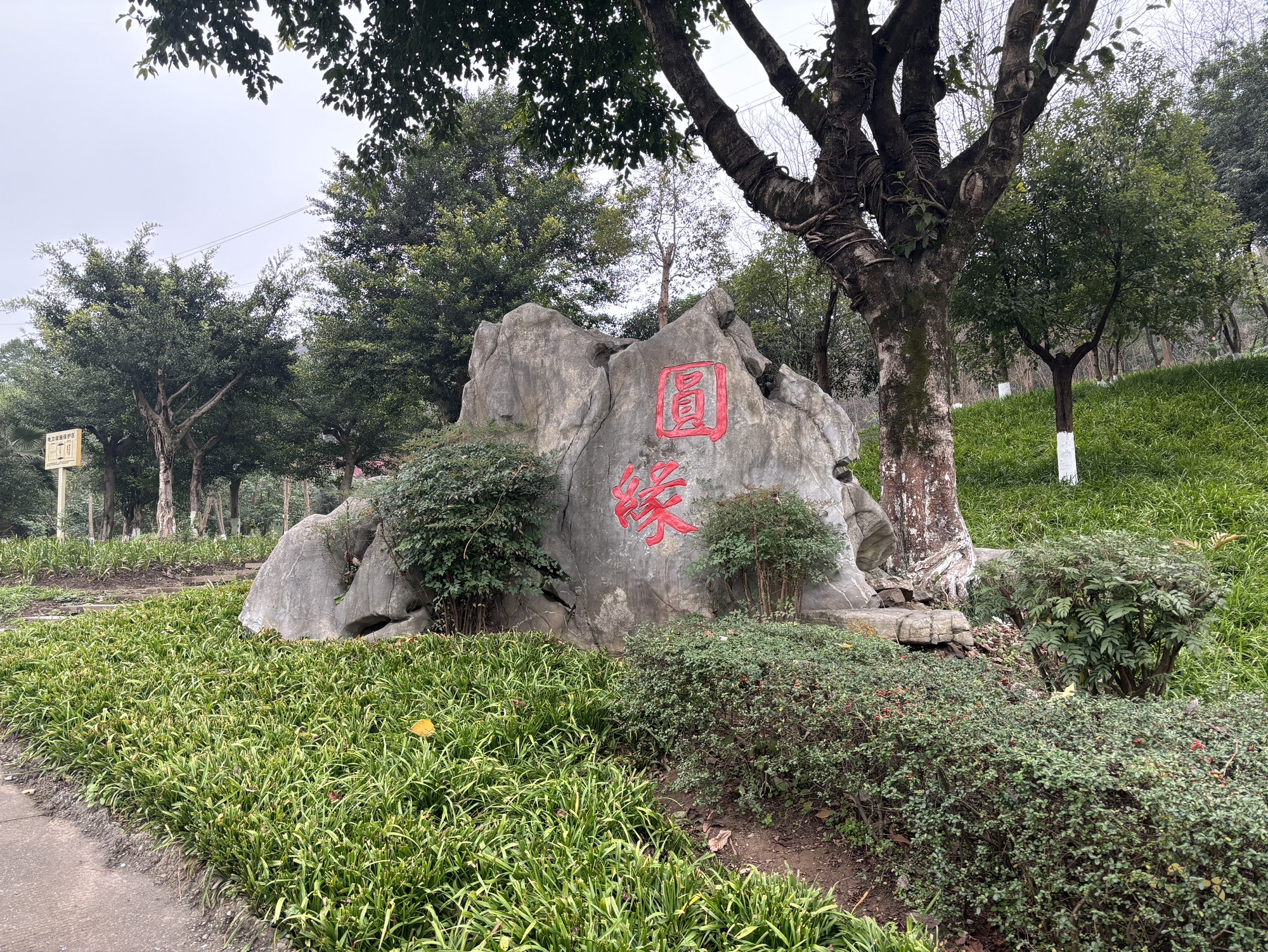 半山公园旅行图片 3