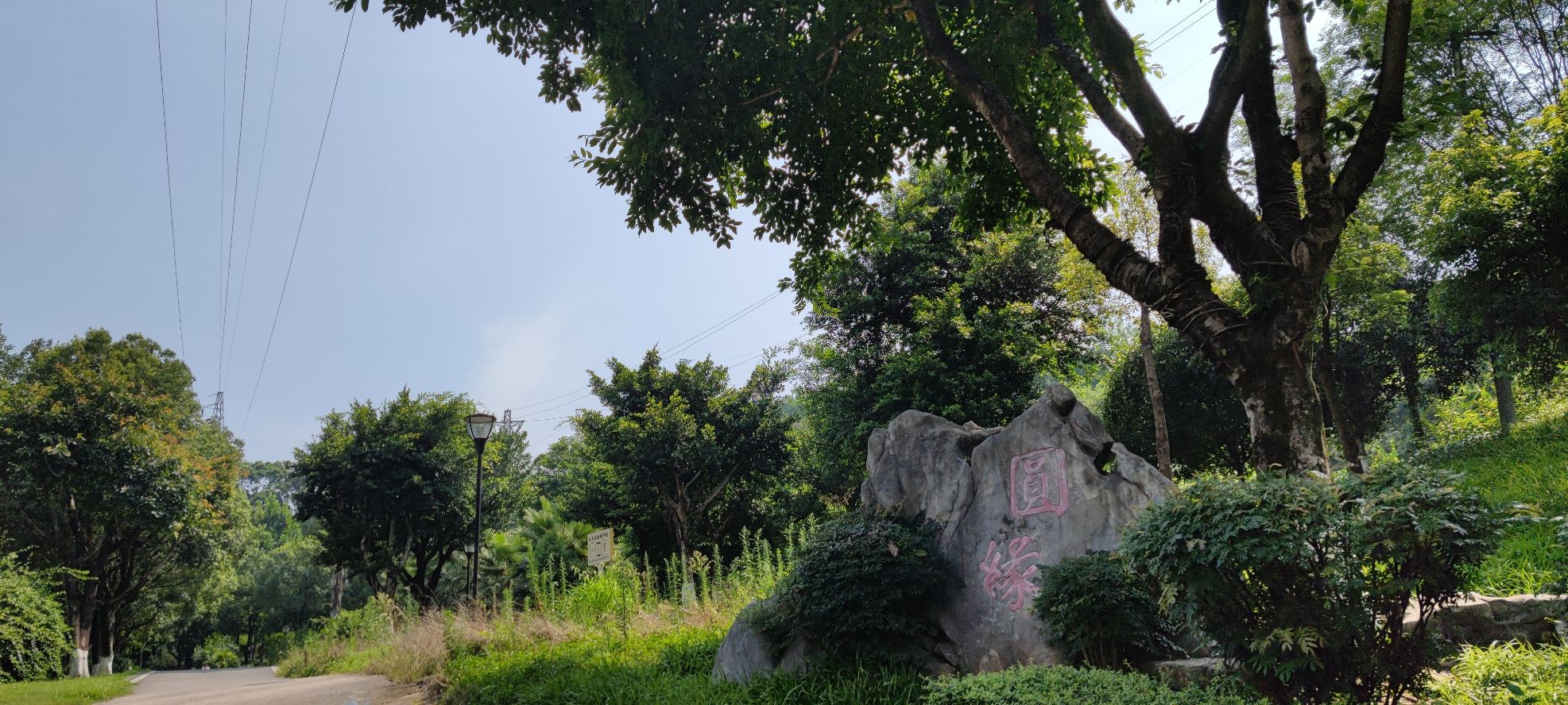 半山公园旅行图片 1
