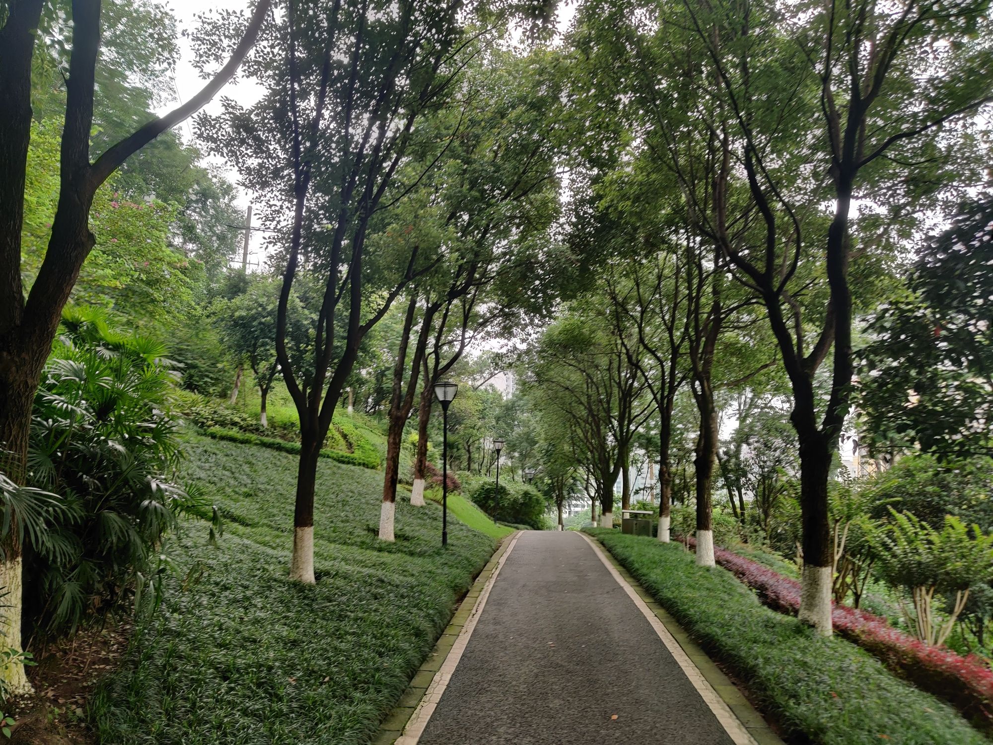 半山公园旅行图片 1