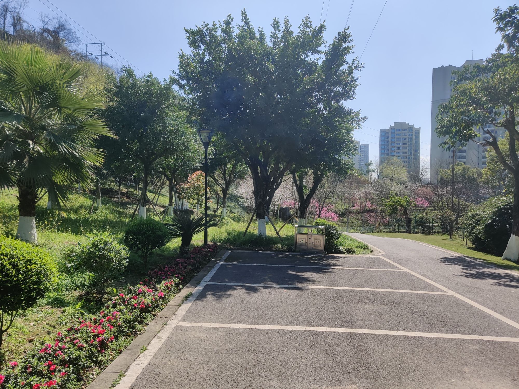 半山公园旅行图片 3