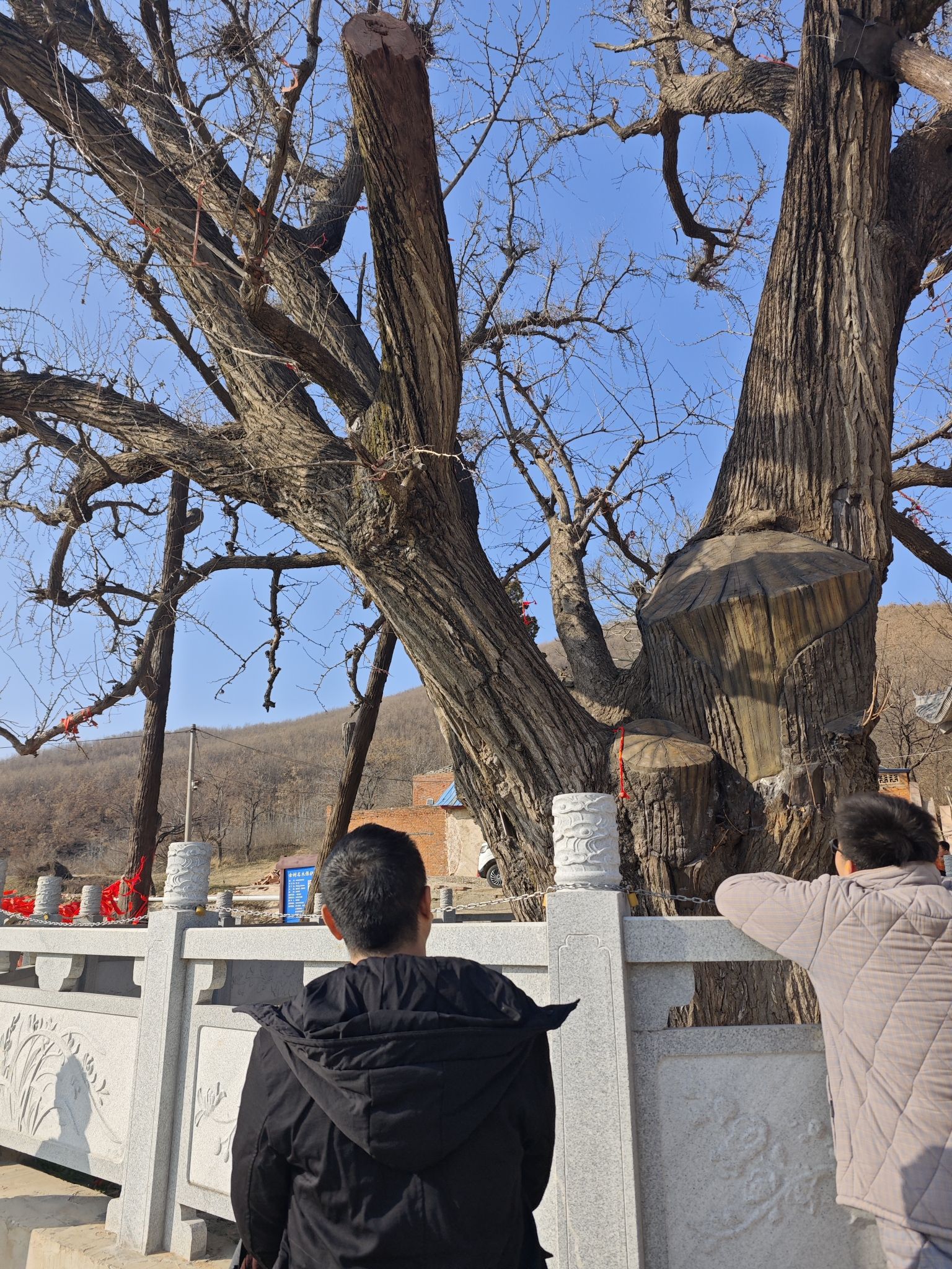 黄石山太清宫实景照片