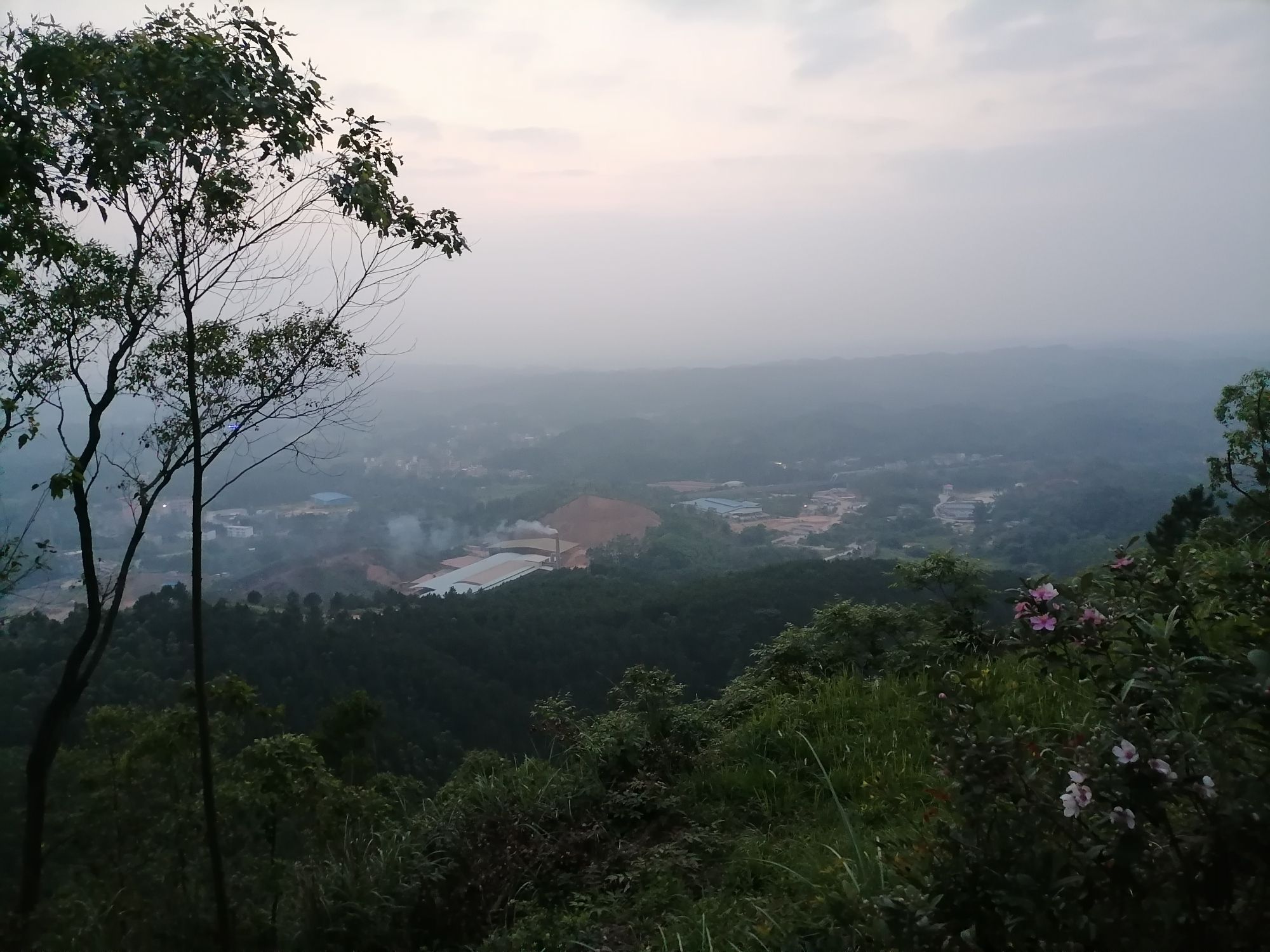 沙坪龙母庙