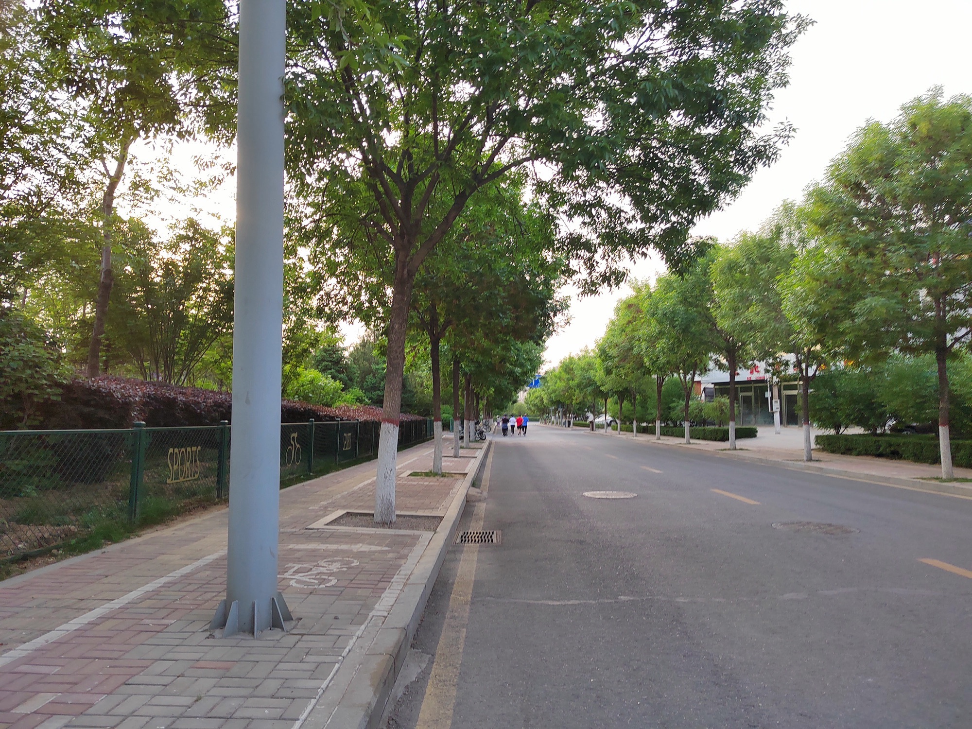 体育公园旅行图片 2