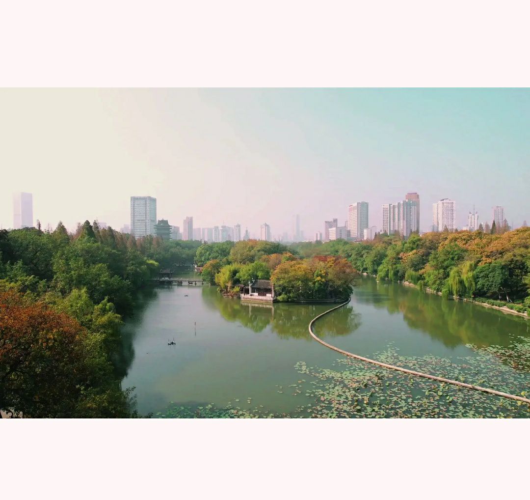 体育公园旅行图片 1
