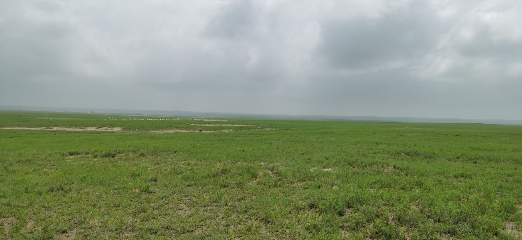 锡林塔拉草原文化旅游景区旅行图片 2