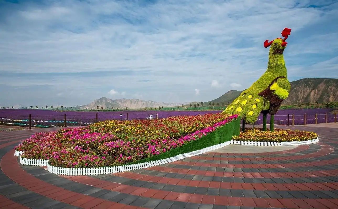 锡林塔拉草原文化旅游景区旅行图片 1
