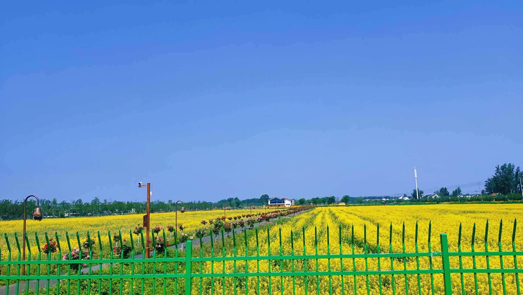 牛角村欢乐田园度假区旅行图片 2