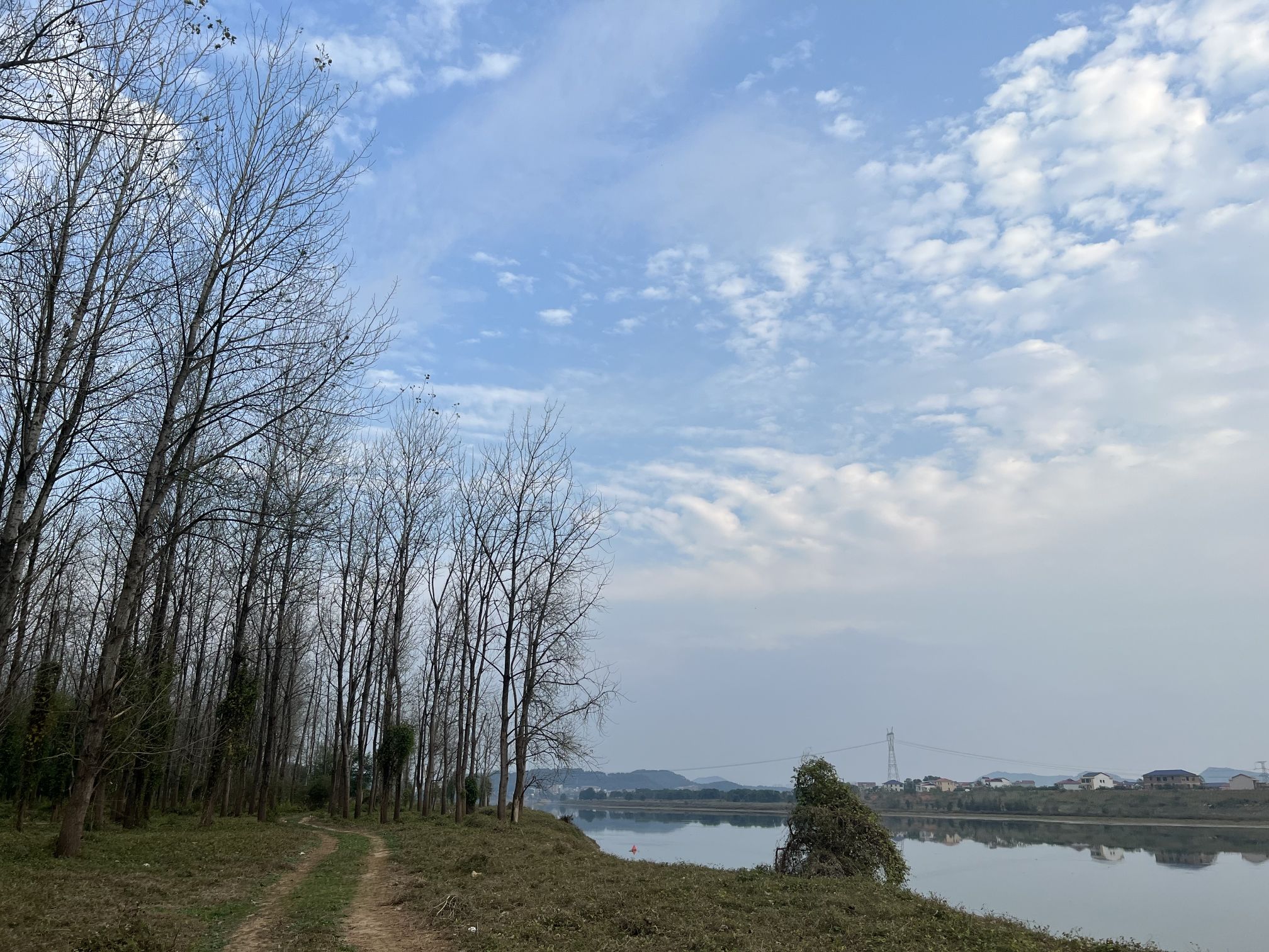 衡东洣水国家湿地公园石杨花海旅行图片 3