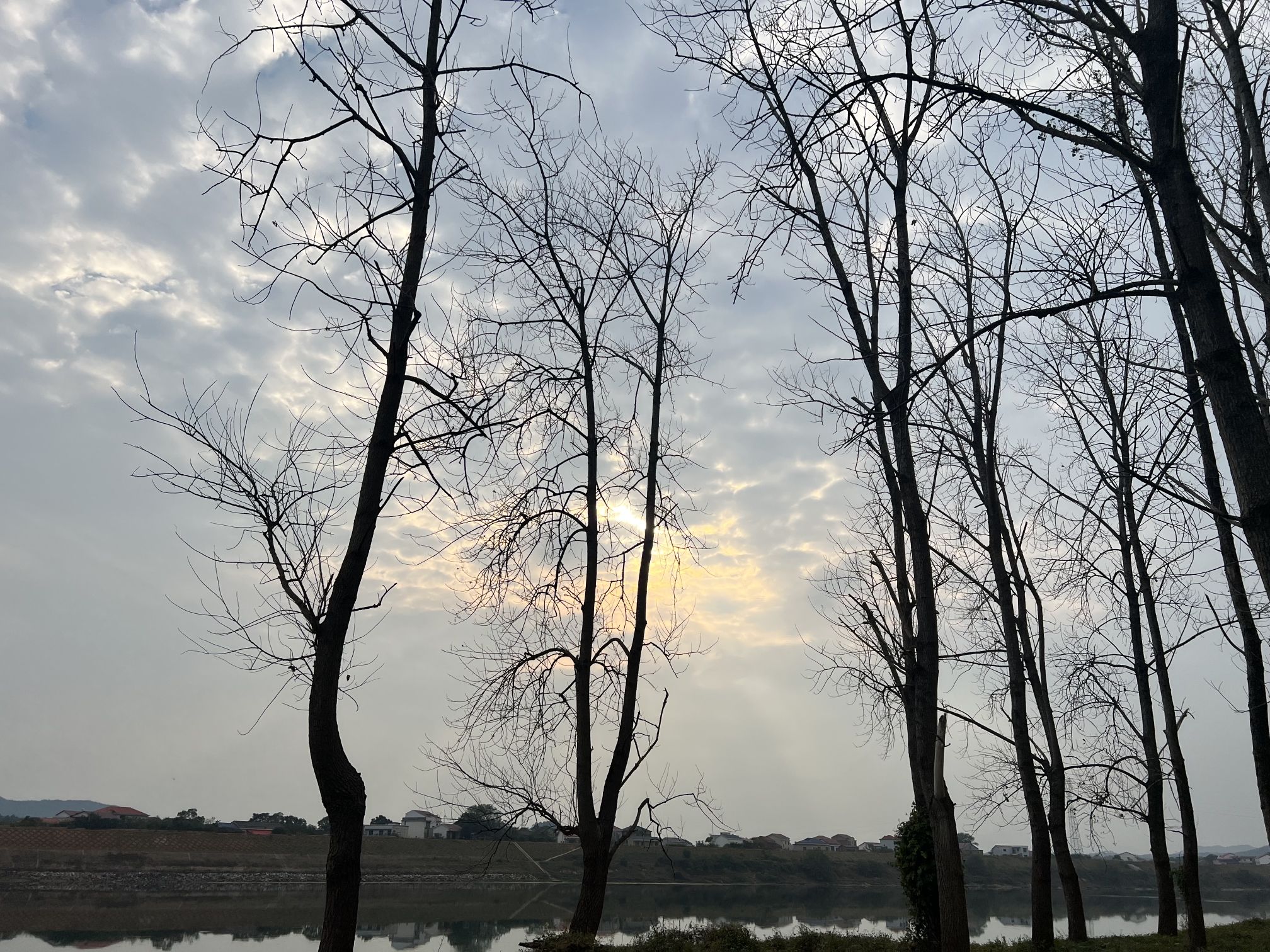 衡东洣水国家湿地公园石杨花海旅行图片 1