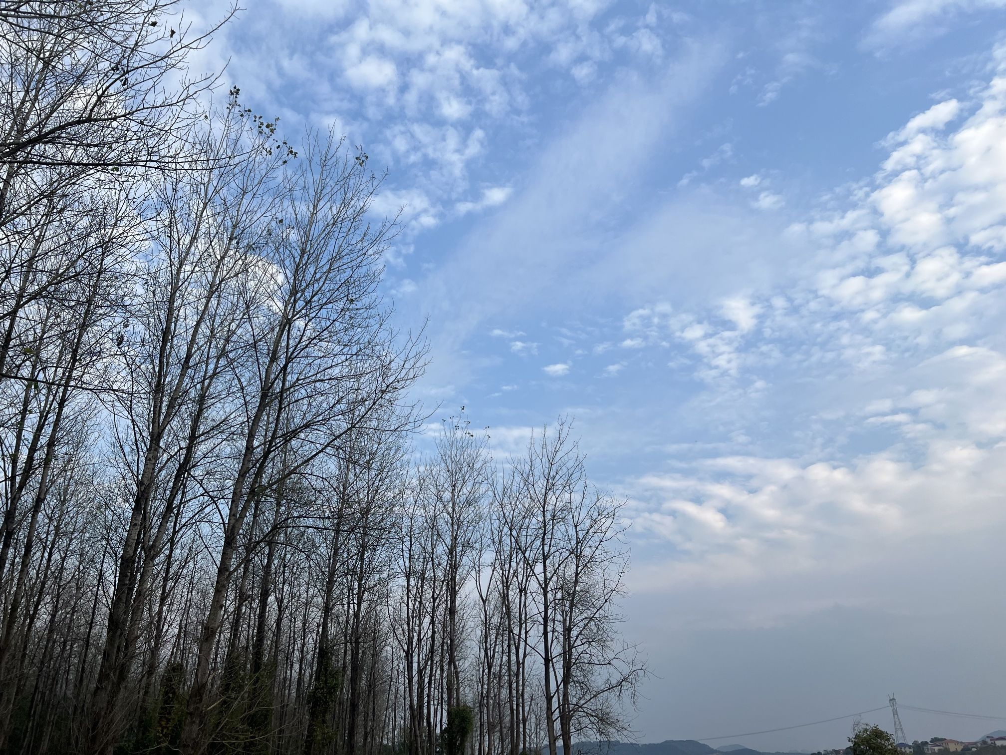 衡东洣水国家湿地公园石杨花海旅行图片 2