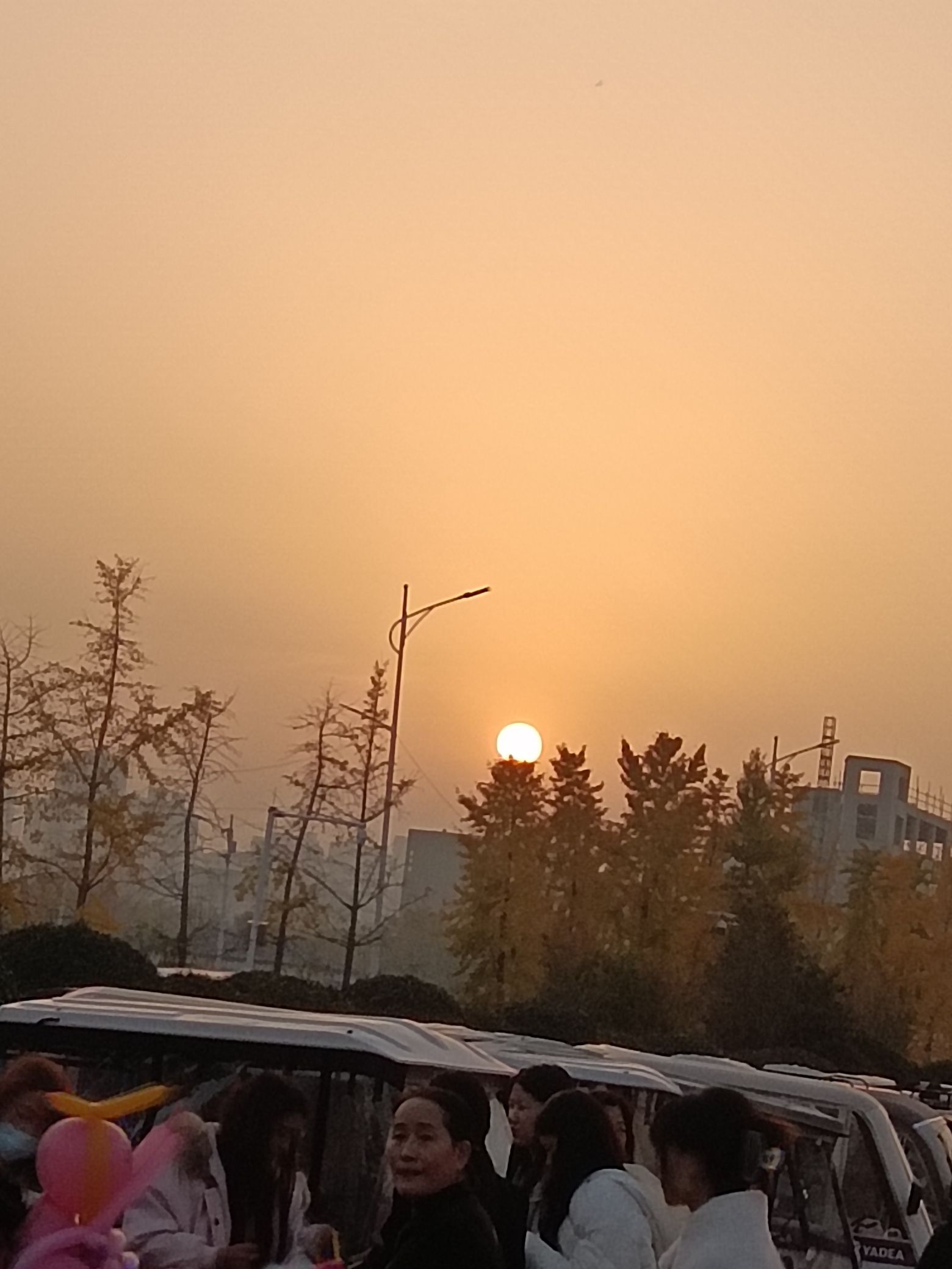新郑市南龙湖城市湿地公园旅行图片 3