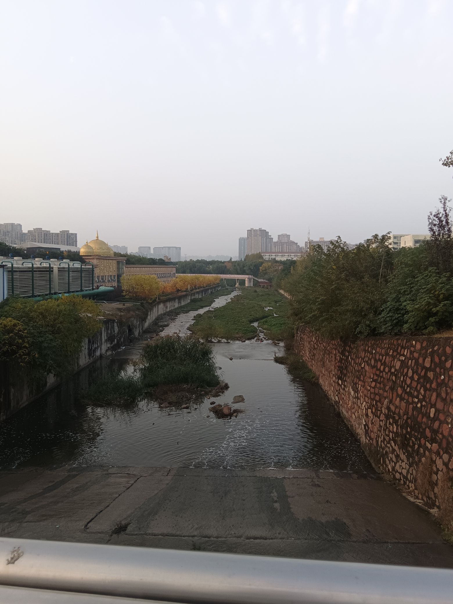 新郑市南龙湖城市湿地公园旅行图片 2