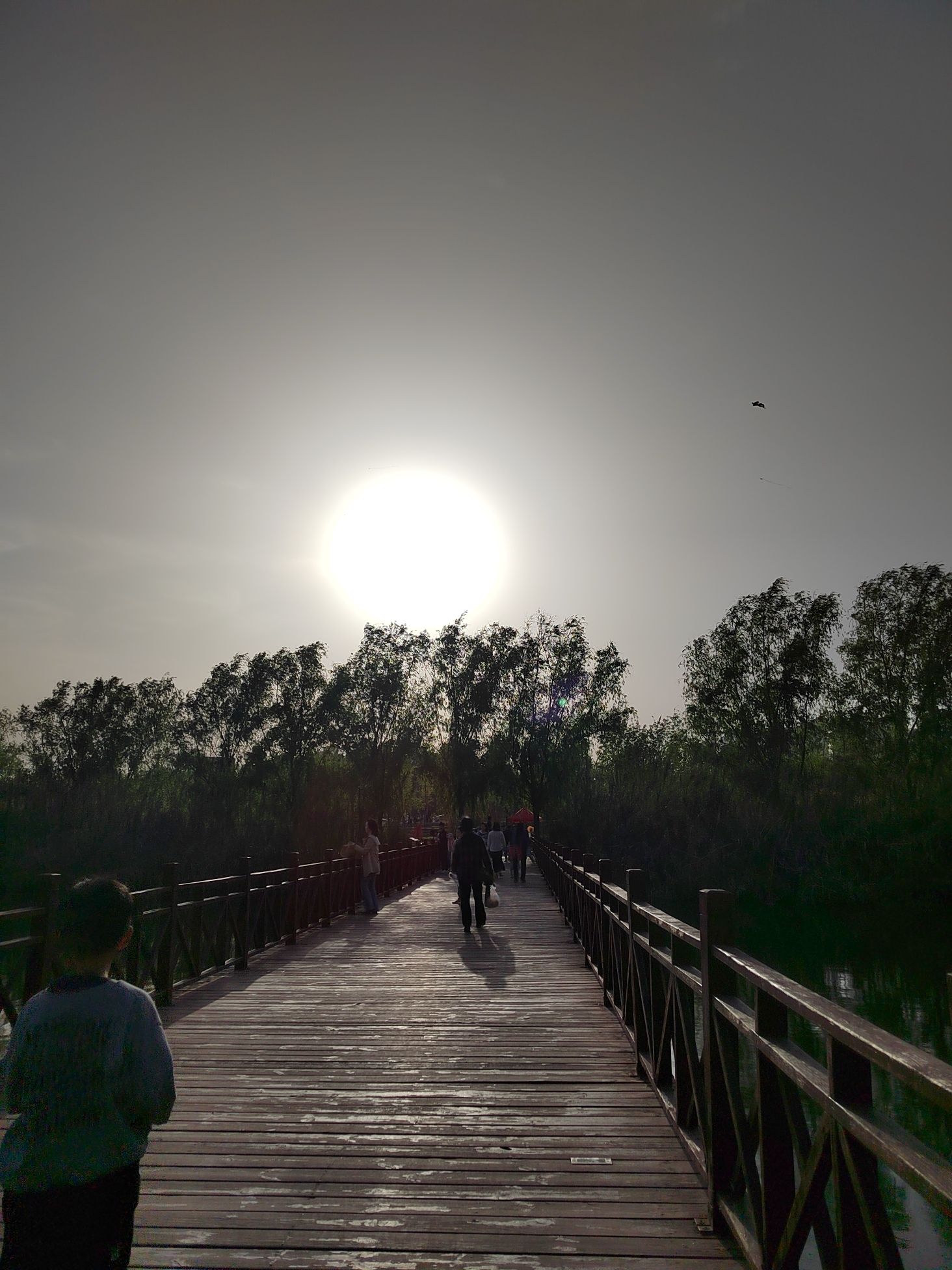 新郑市南龙湖城市湿地公园旅行图片 3