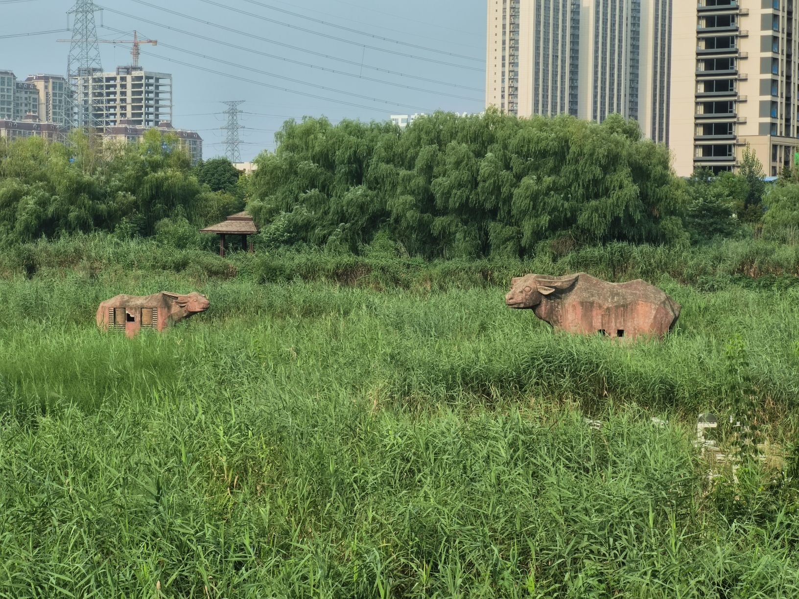 新郑市南龙湖城市湿地公园旅行图片
