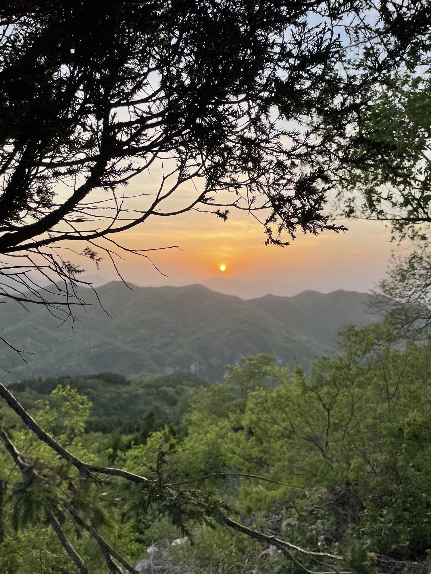 始祖山龙头旅行图片 3