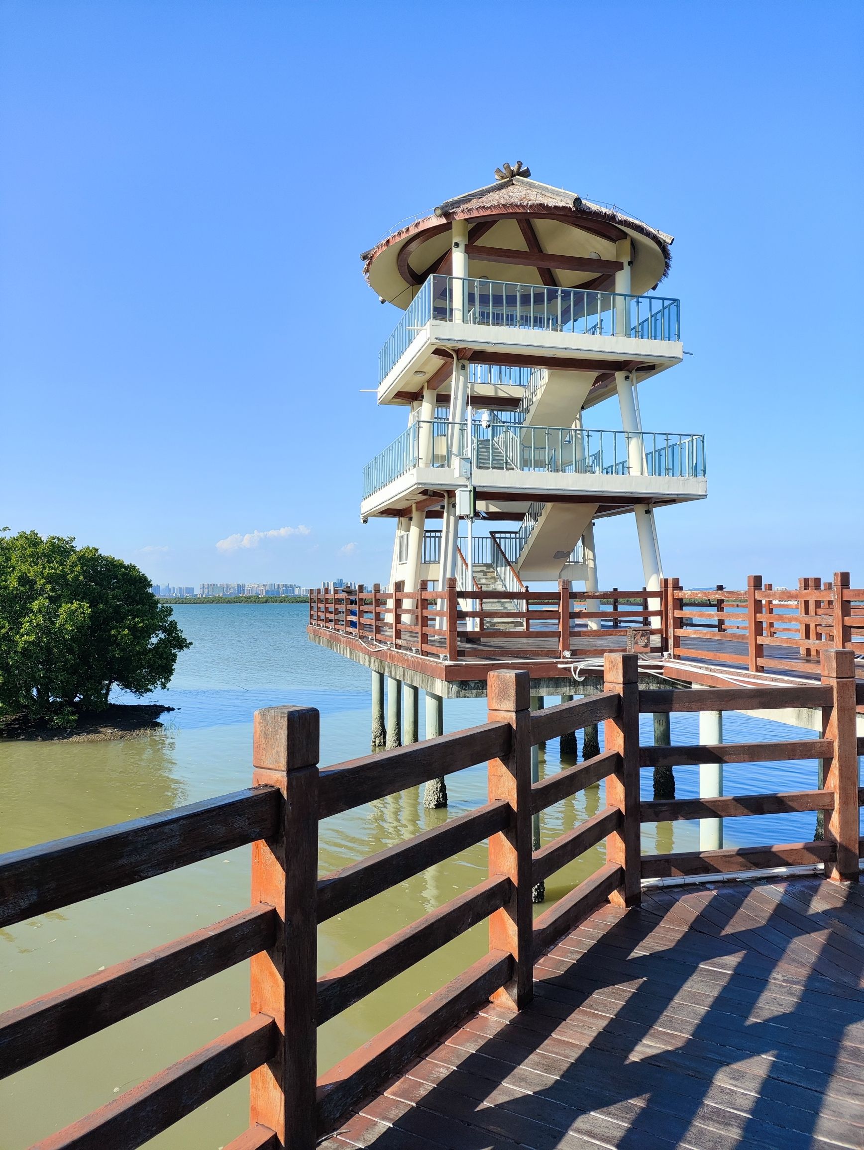 水东湾海洋公园旅行图片 1