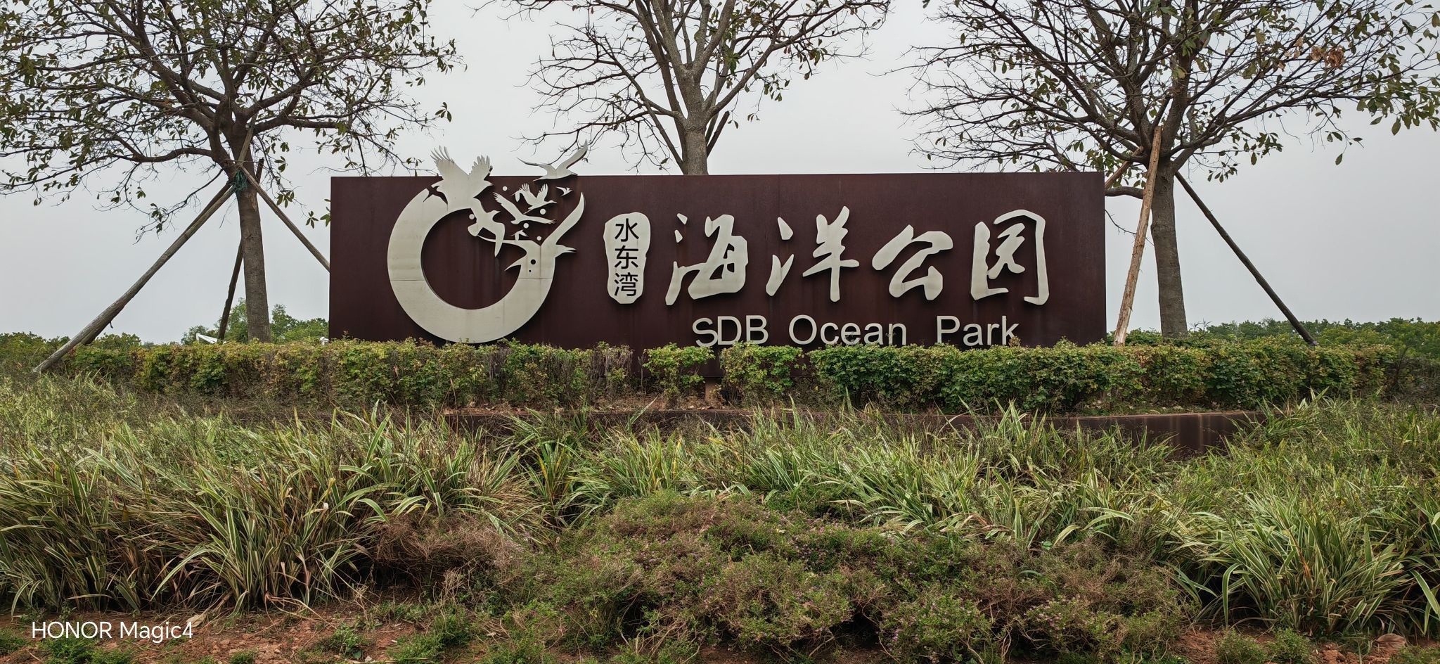 水东湾海洋公园旅行图片 1
