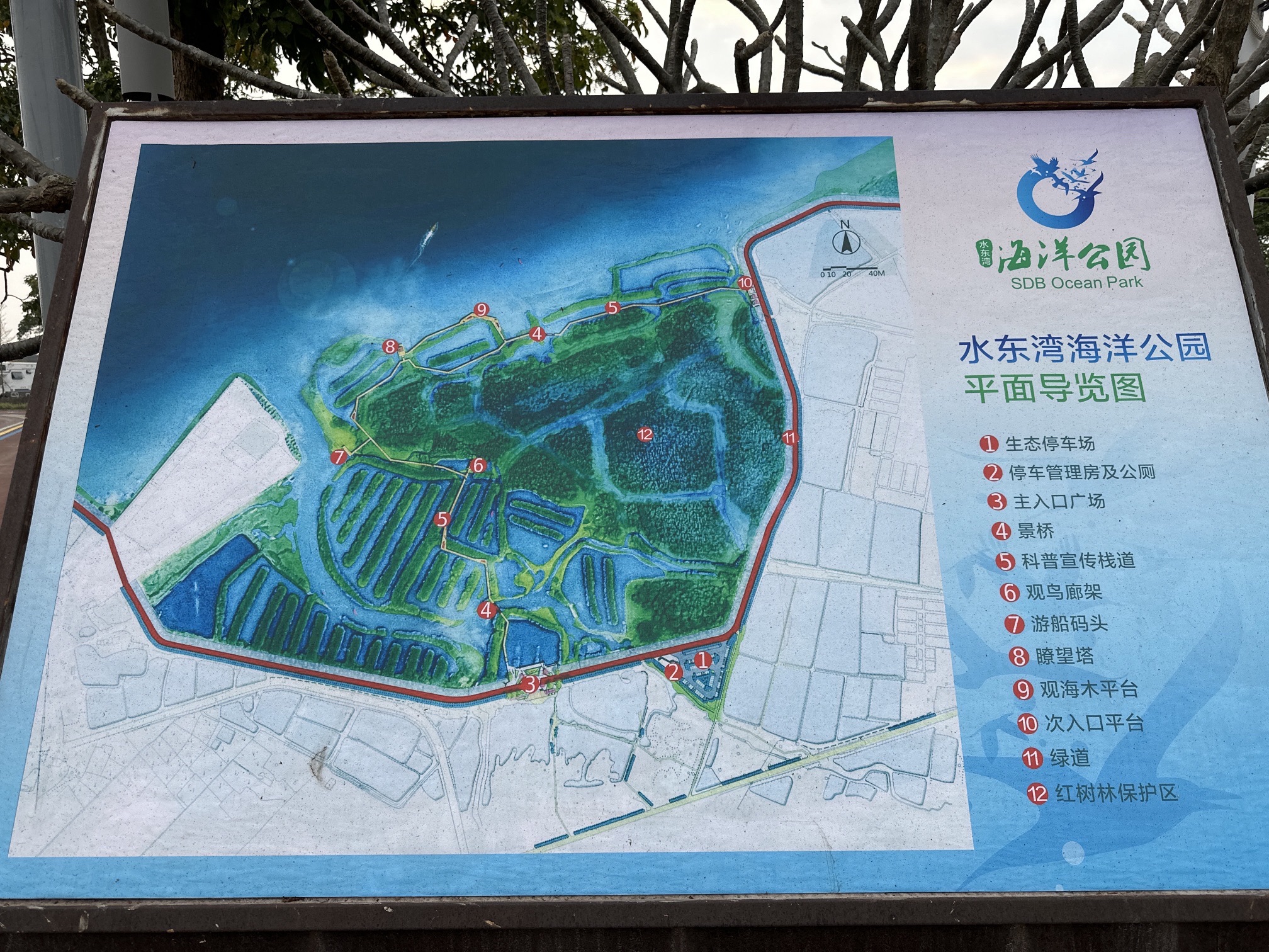 水东湾海洋公园旅行图片 3