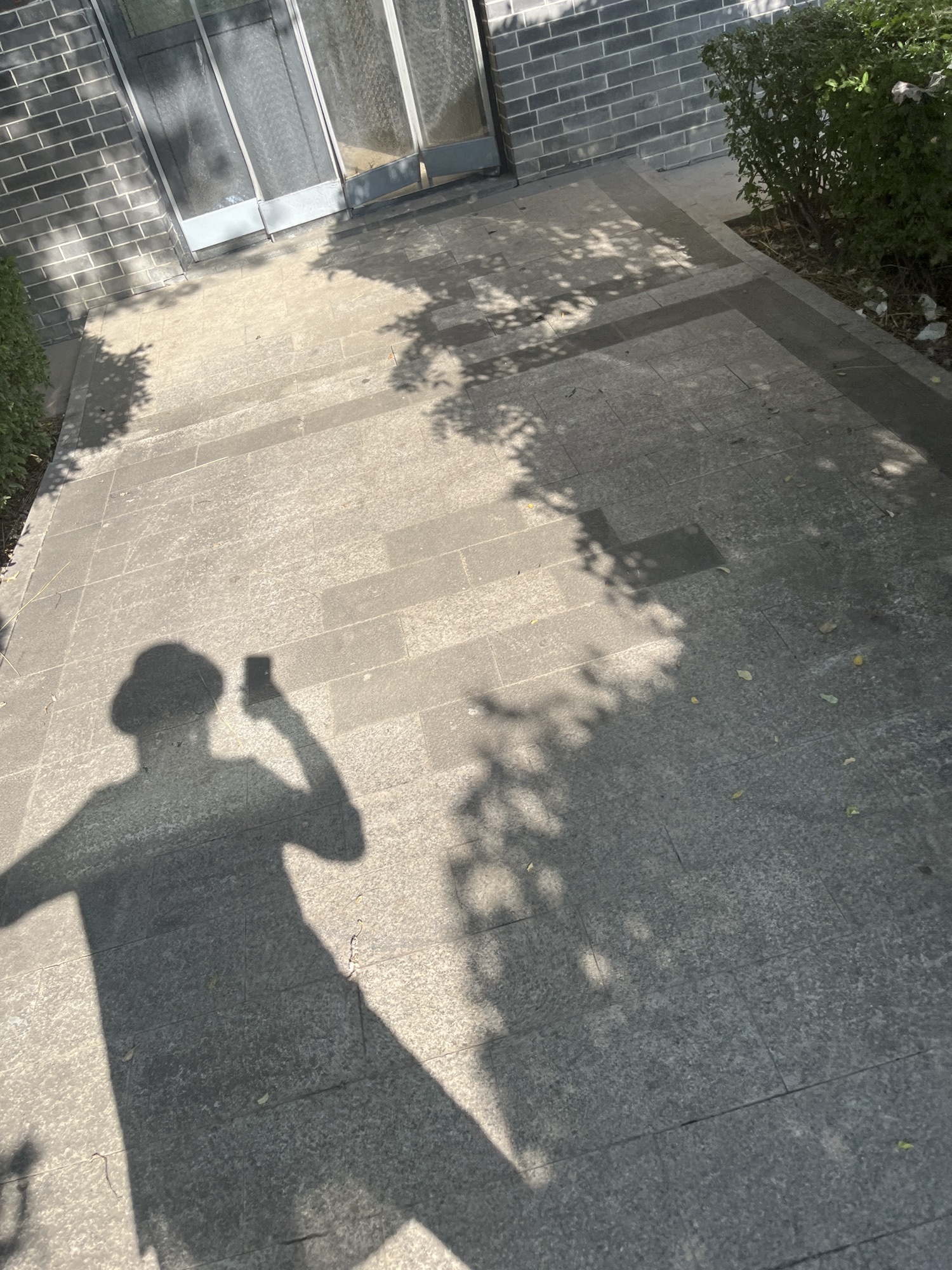 敬德公园旅行图片 2