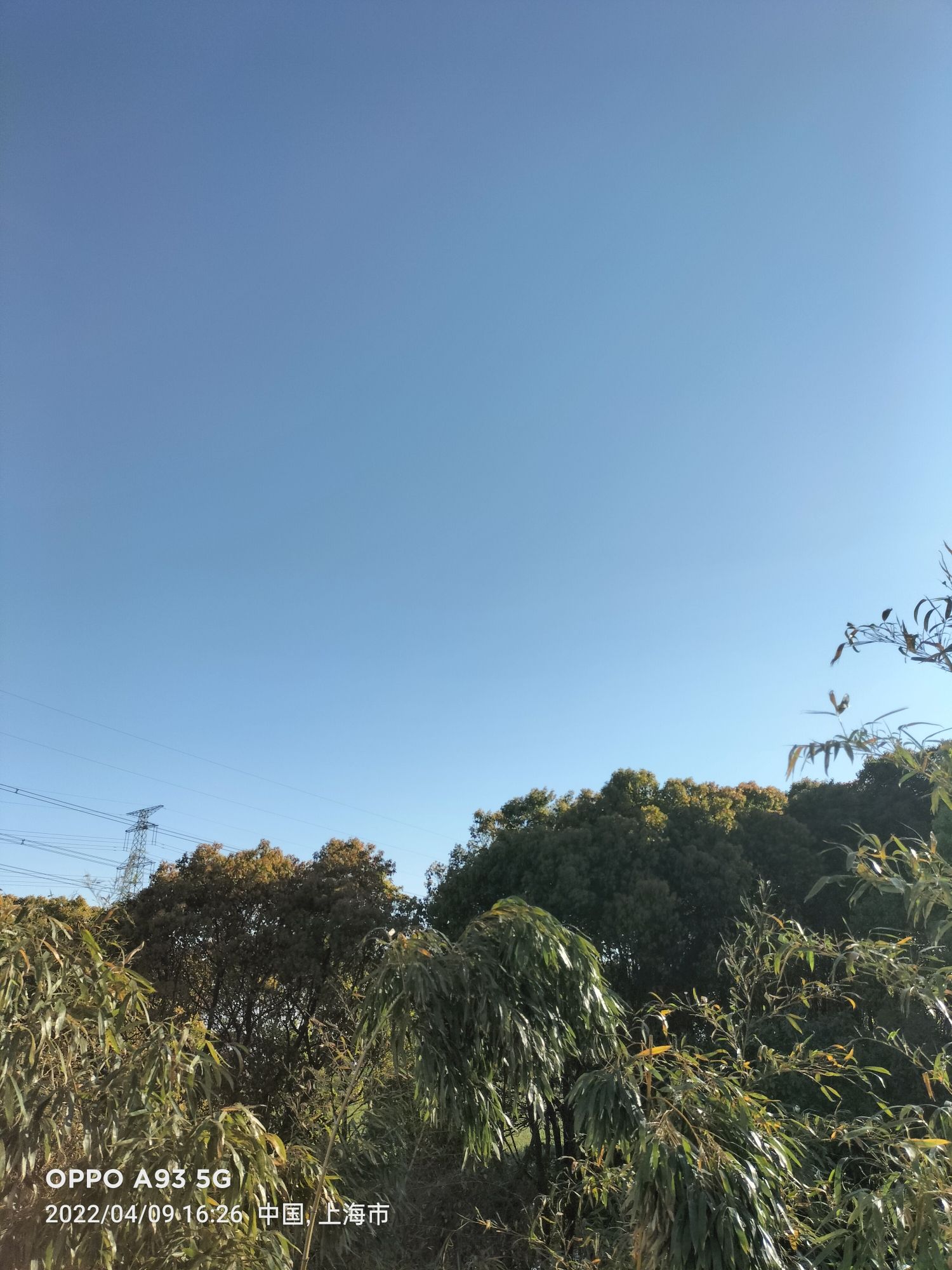 临江园旅行图片 2