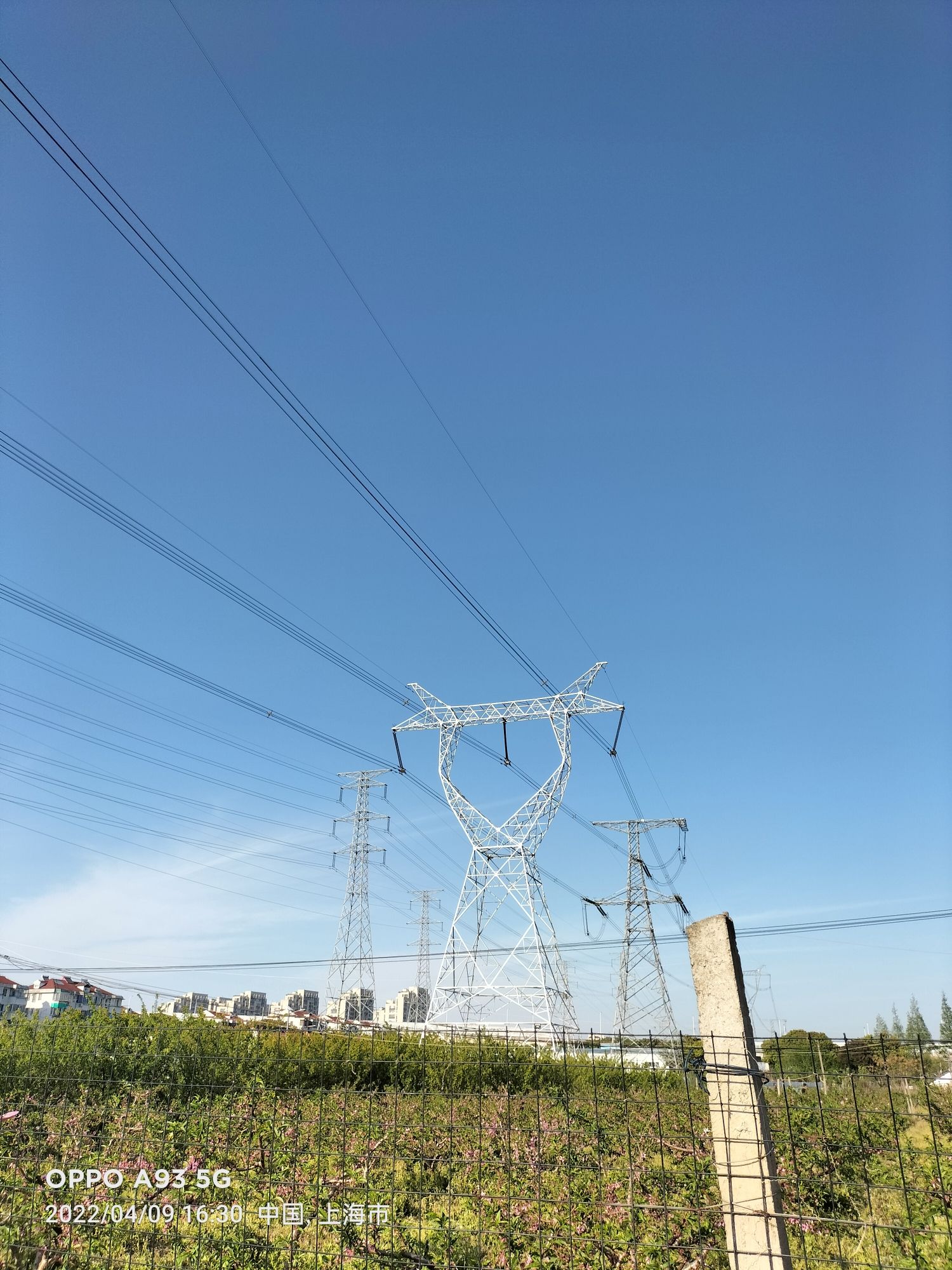 临江园旅行图片 1