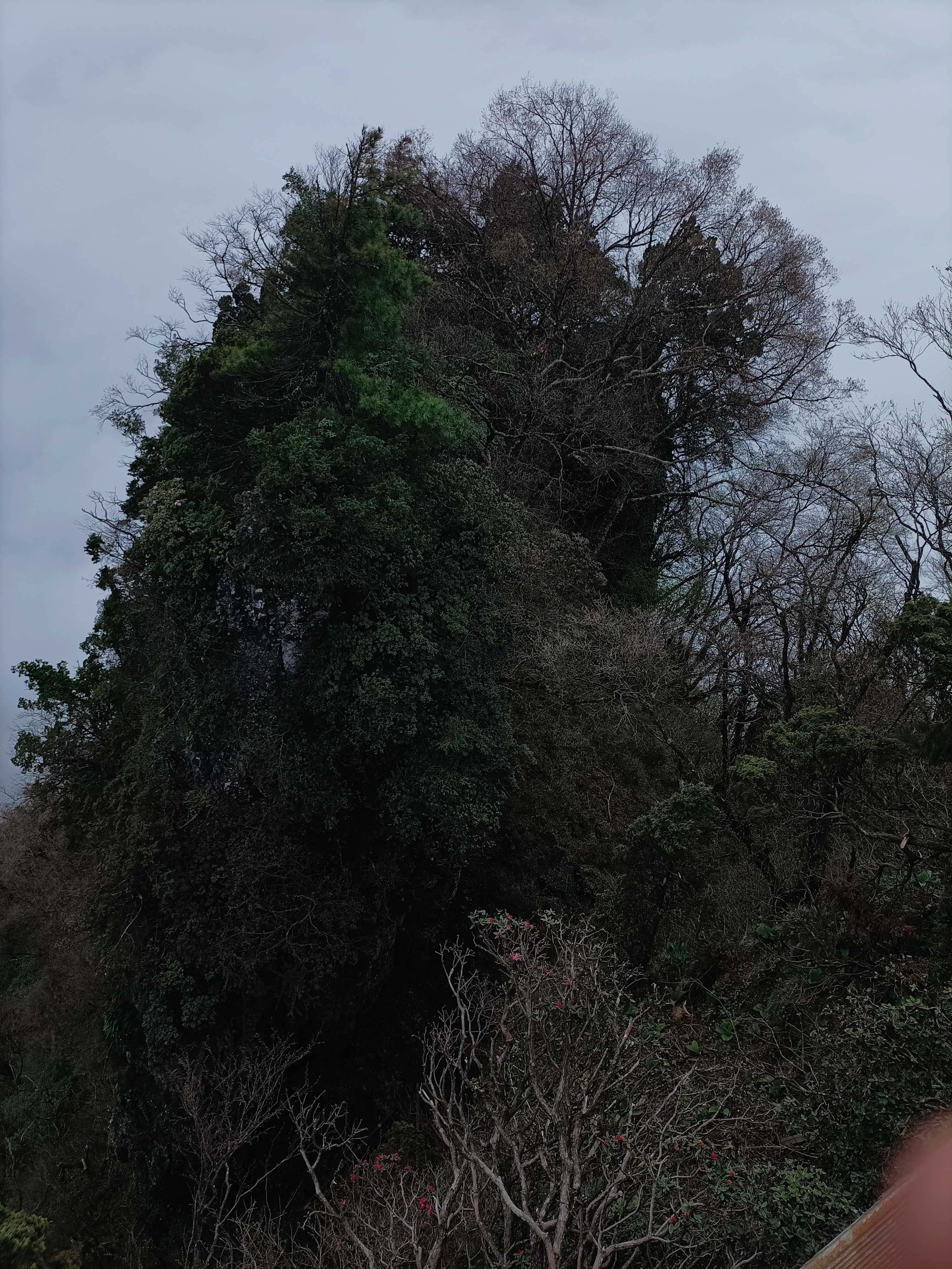 皇家山景区旅行图片 3