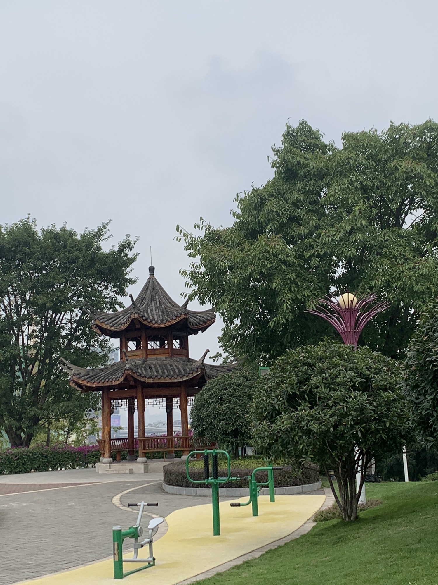 丹凤公园旅行图片 1