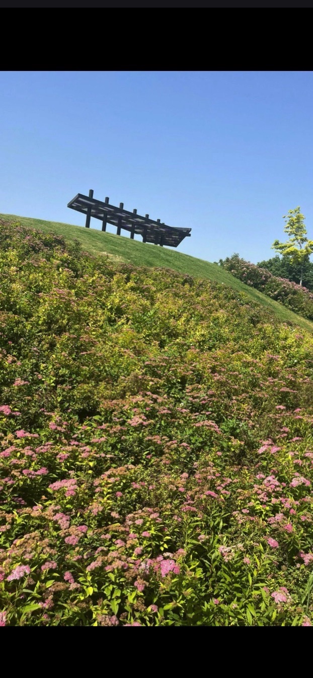 郑信公园旅行图片 3