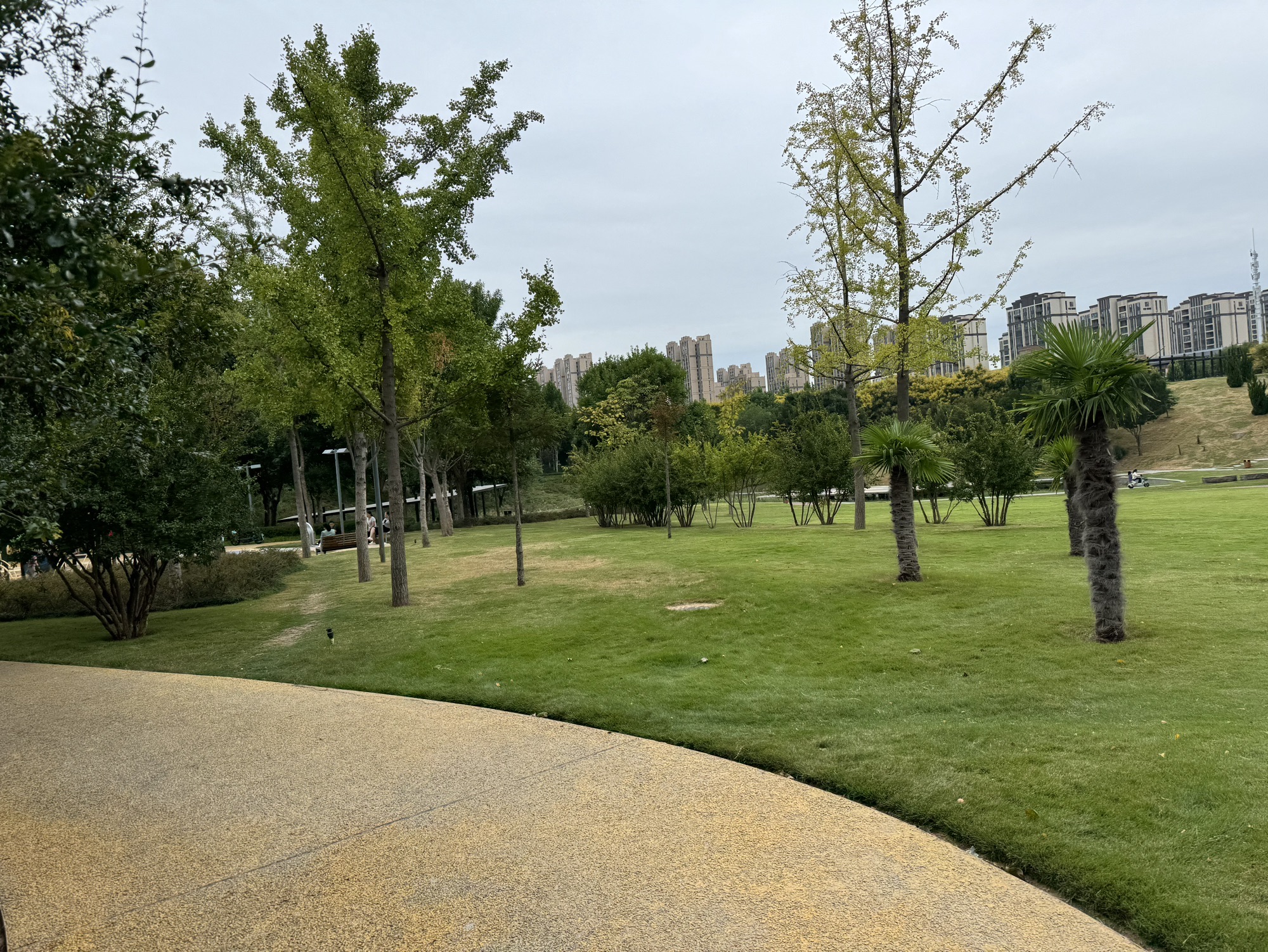 郑信公园旅行图片