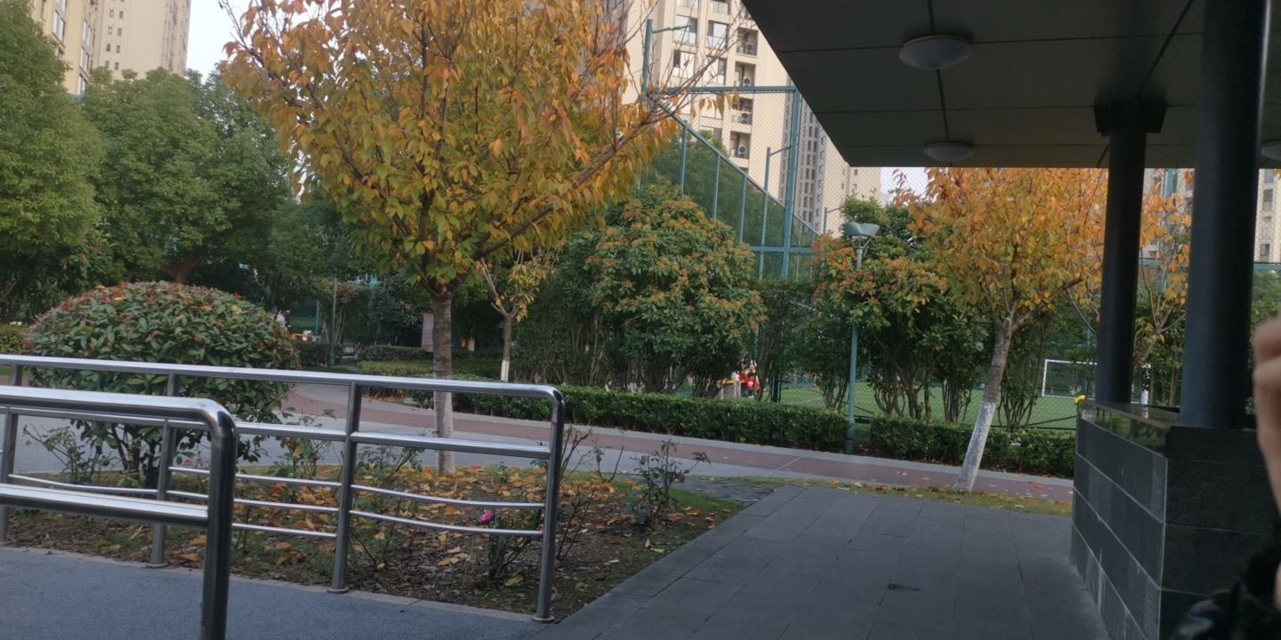 武进长沟河公园旅行图片 3