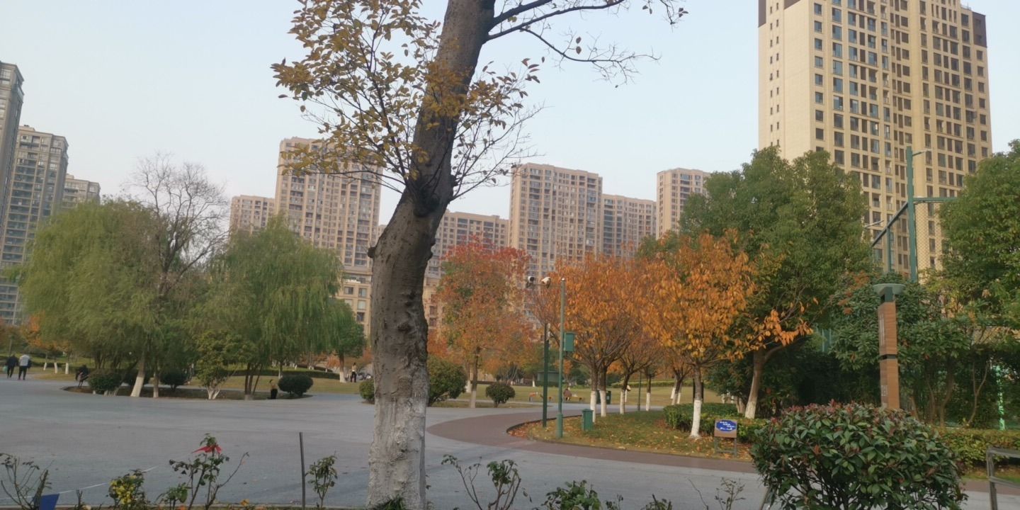 武进长沟河公园旅行图片 1