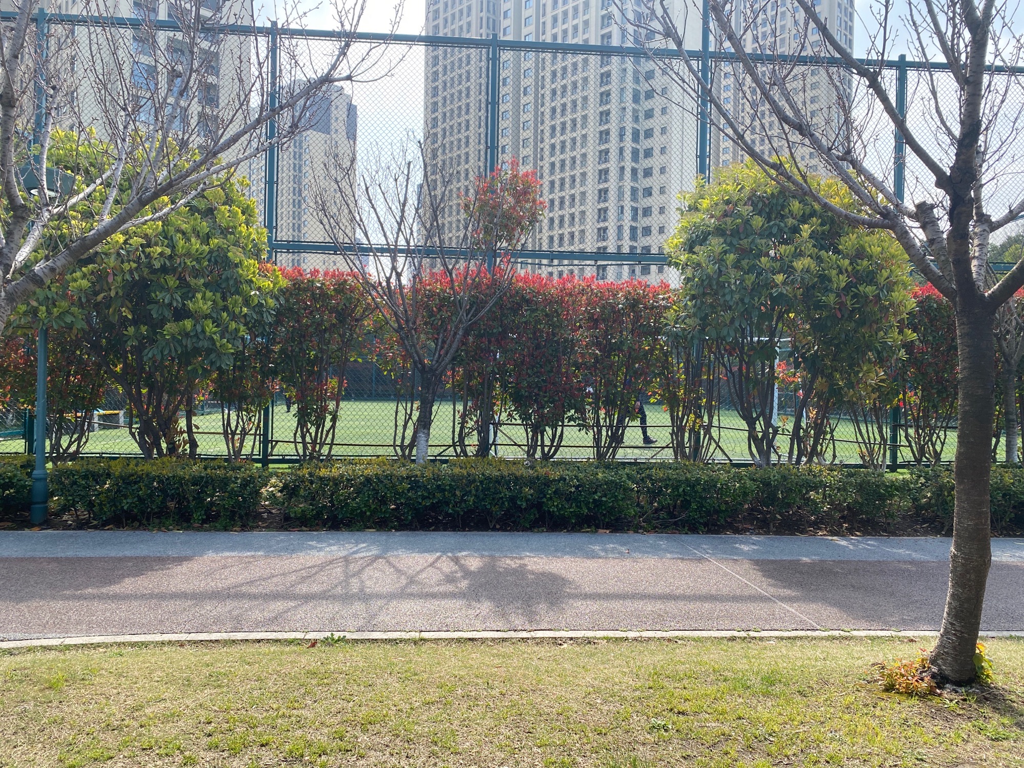 武进长沟河公园旅行图片 1