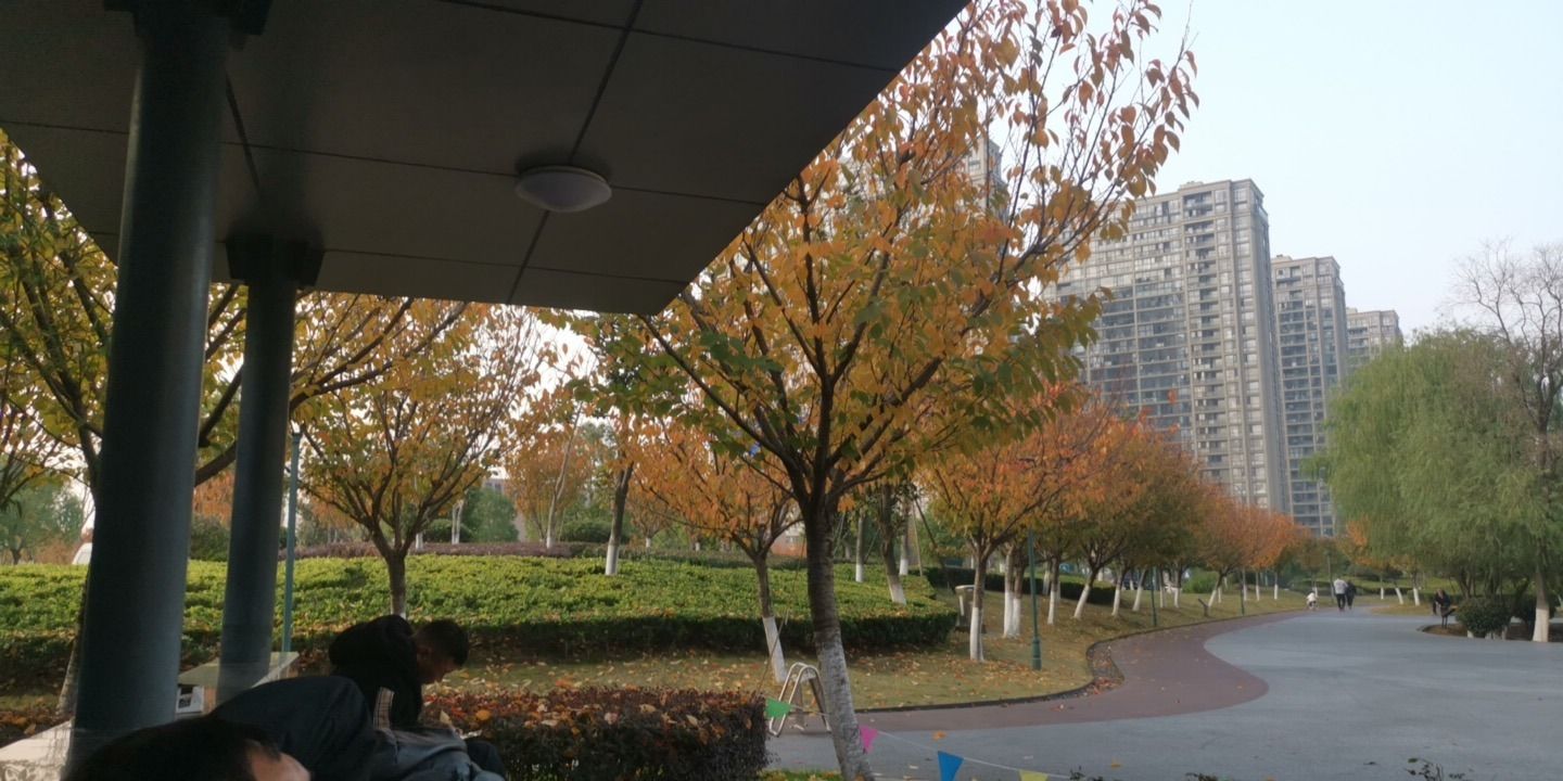 武进长沟河公园旅行图片 2