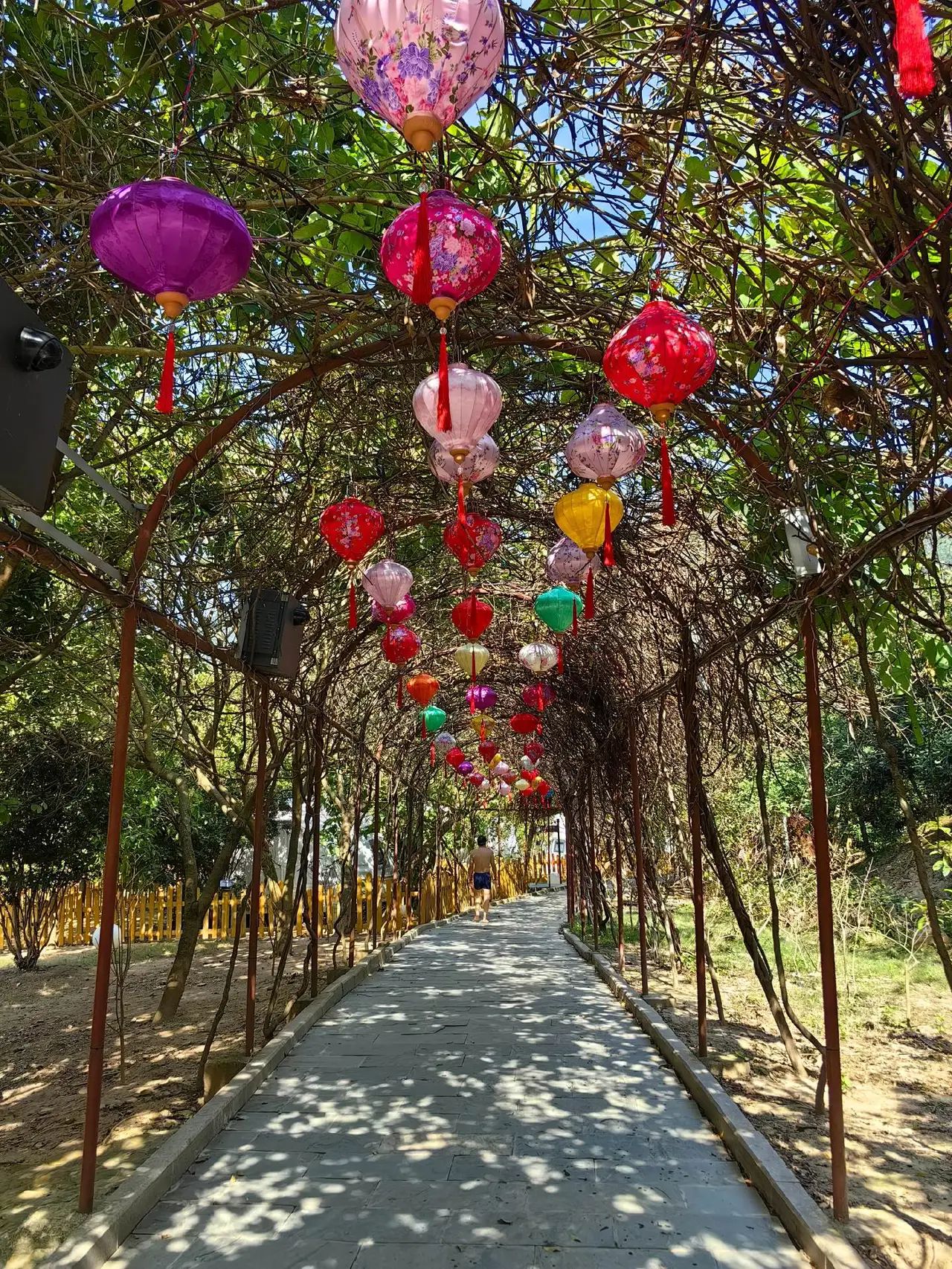上思县十万大山布透温泉旅行图片 1