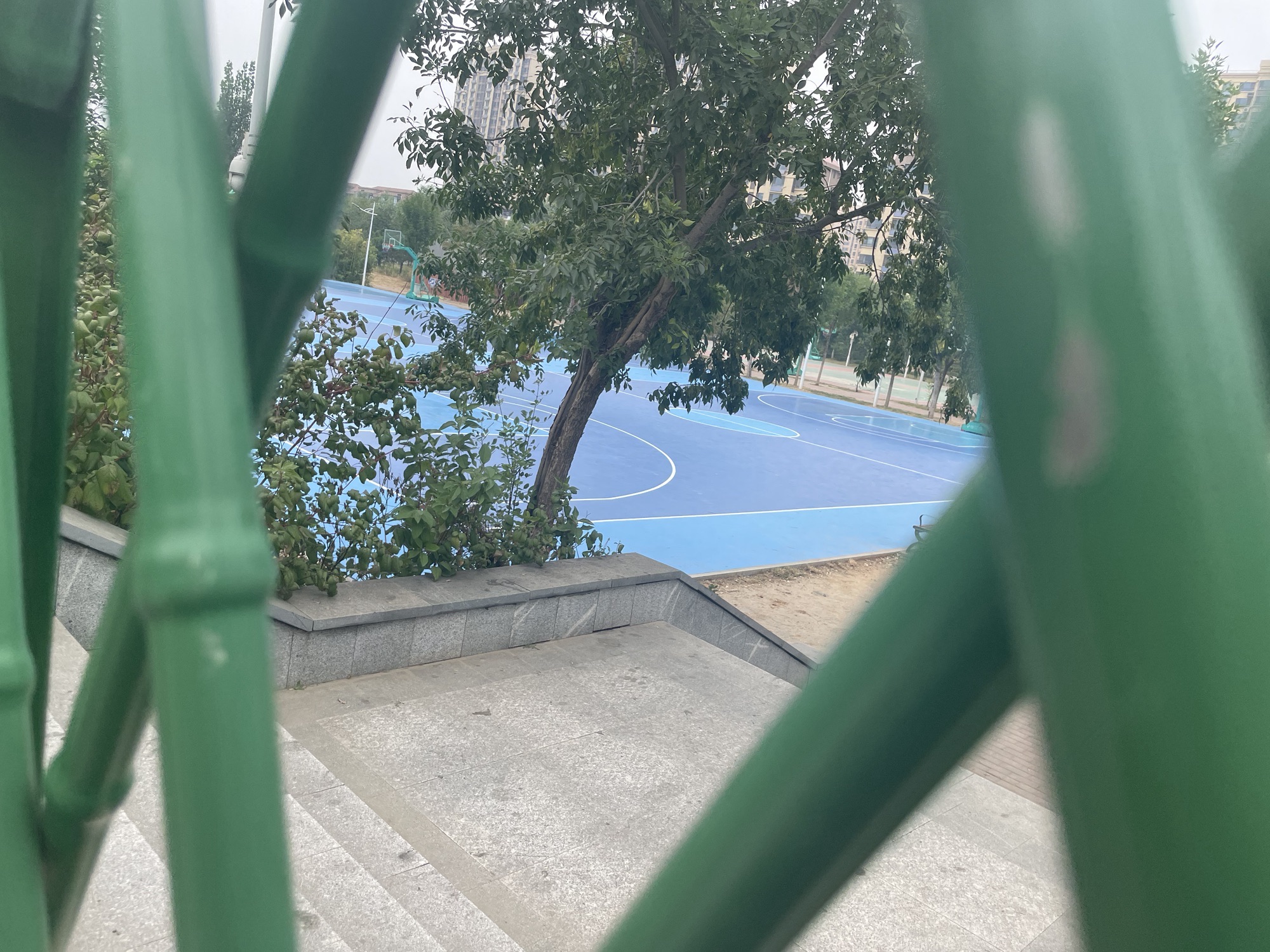 章丘区体育公园旅行图片 3