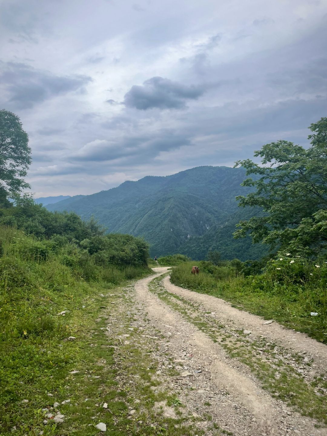 卓西牧场旅行图片 2