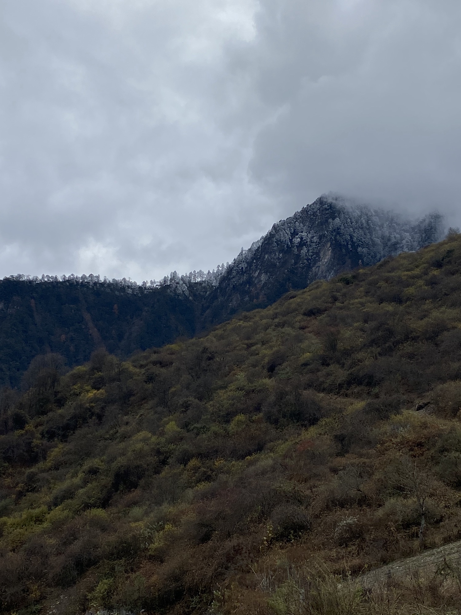 卓西牧场旅行图片 2