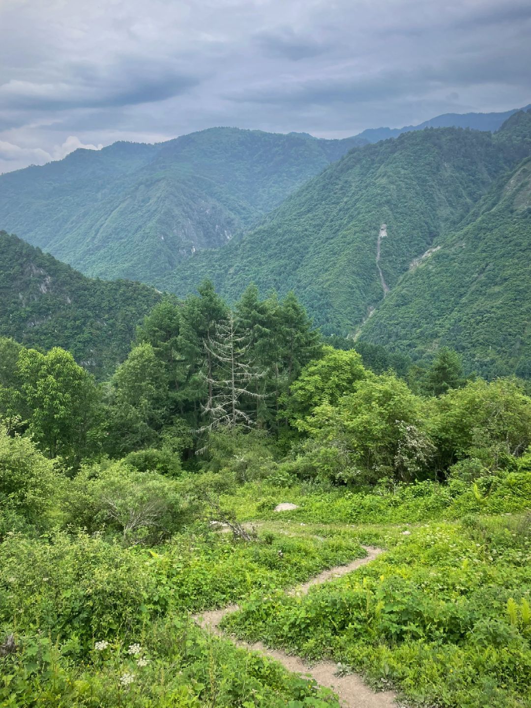 卓西牧场旅行图片 3