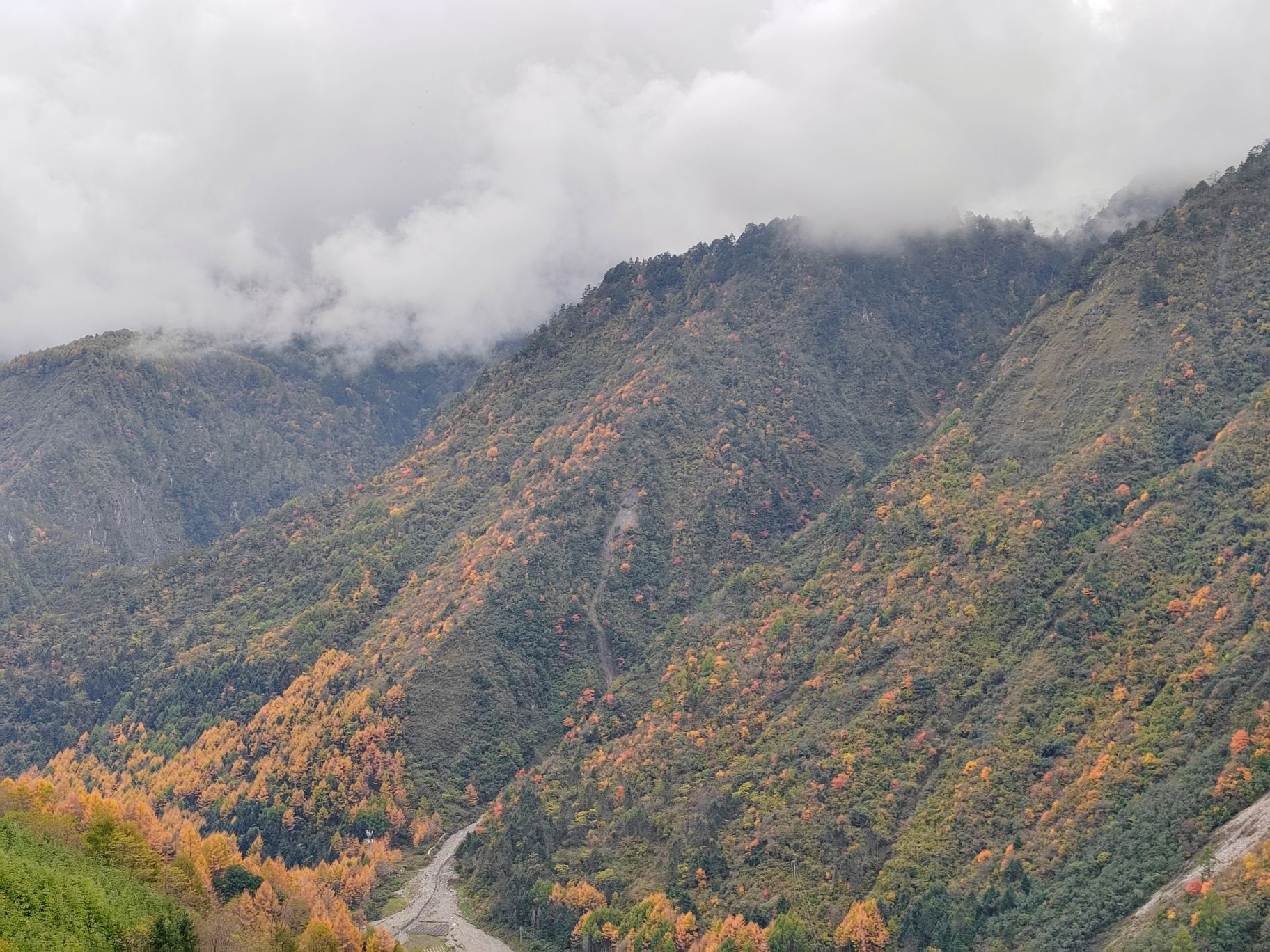 卓西牧场旅行图片 3