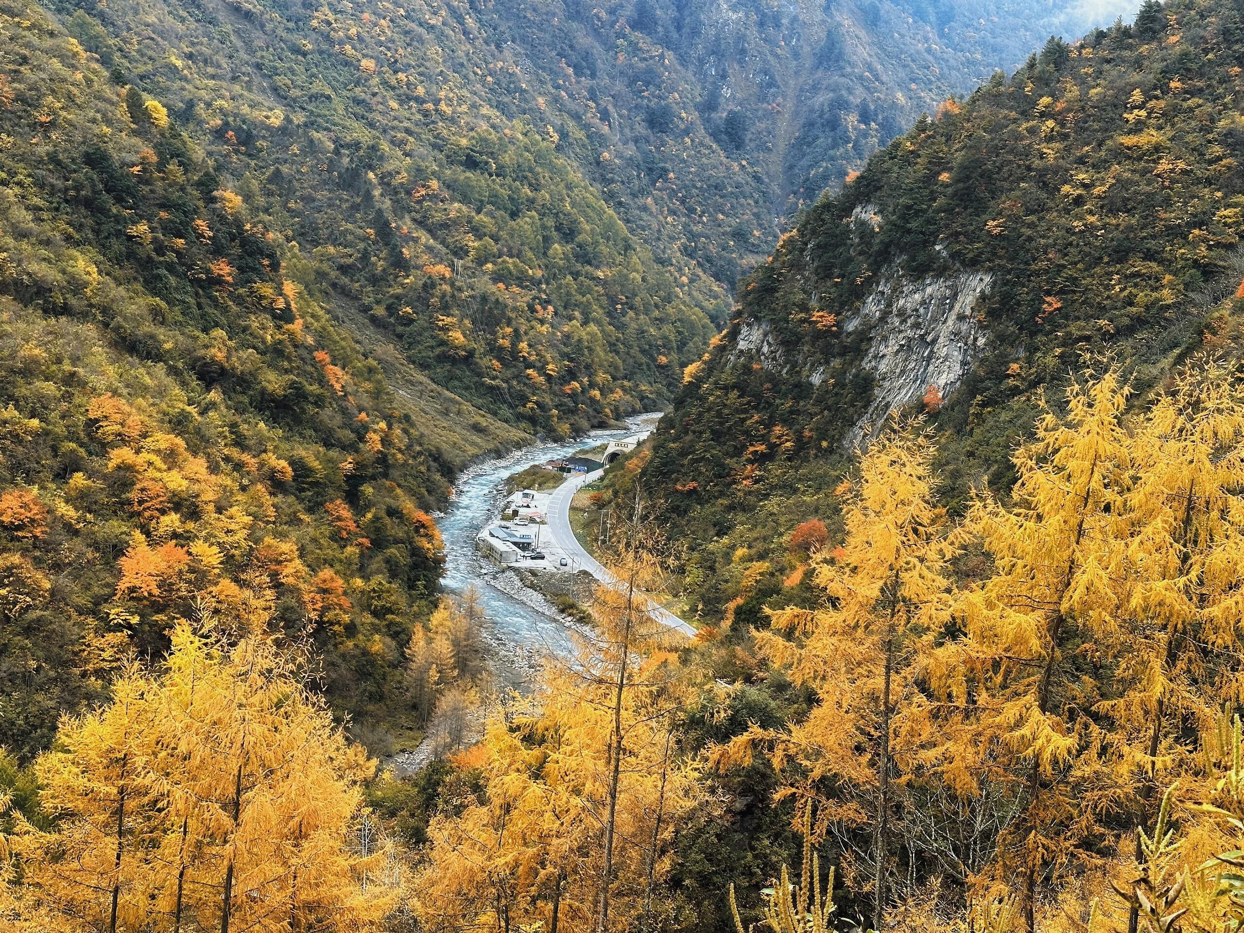 卓西牧场旅行图片 1
