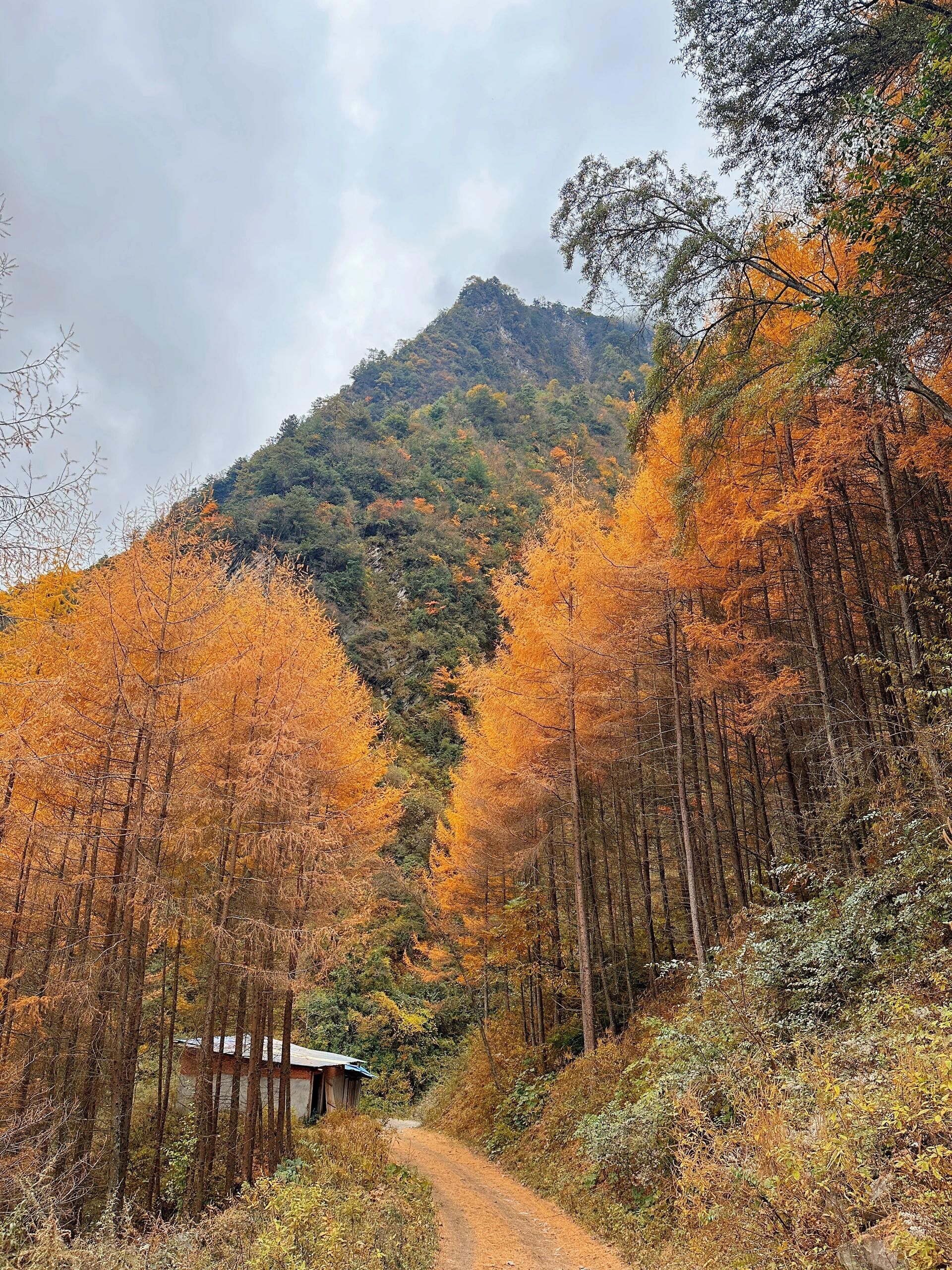卓西牧场旅行图片 2
