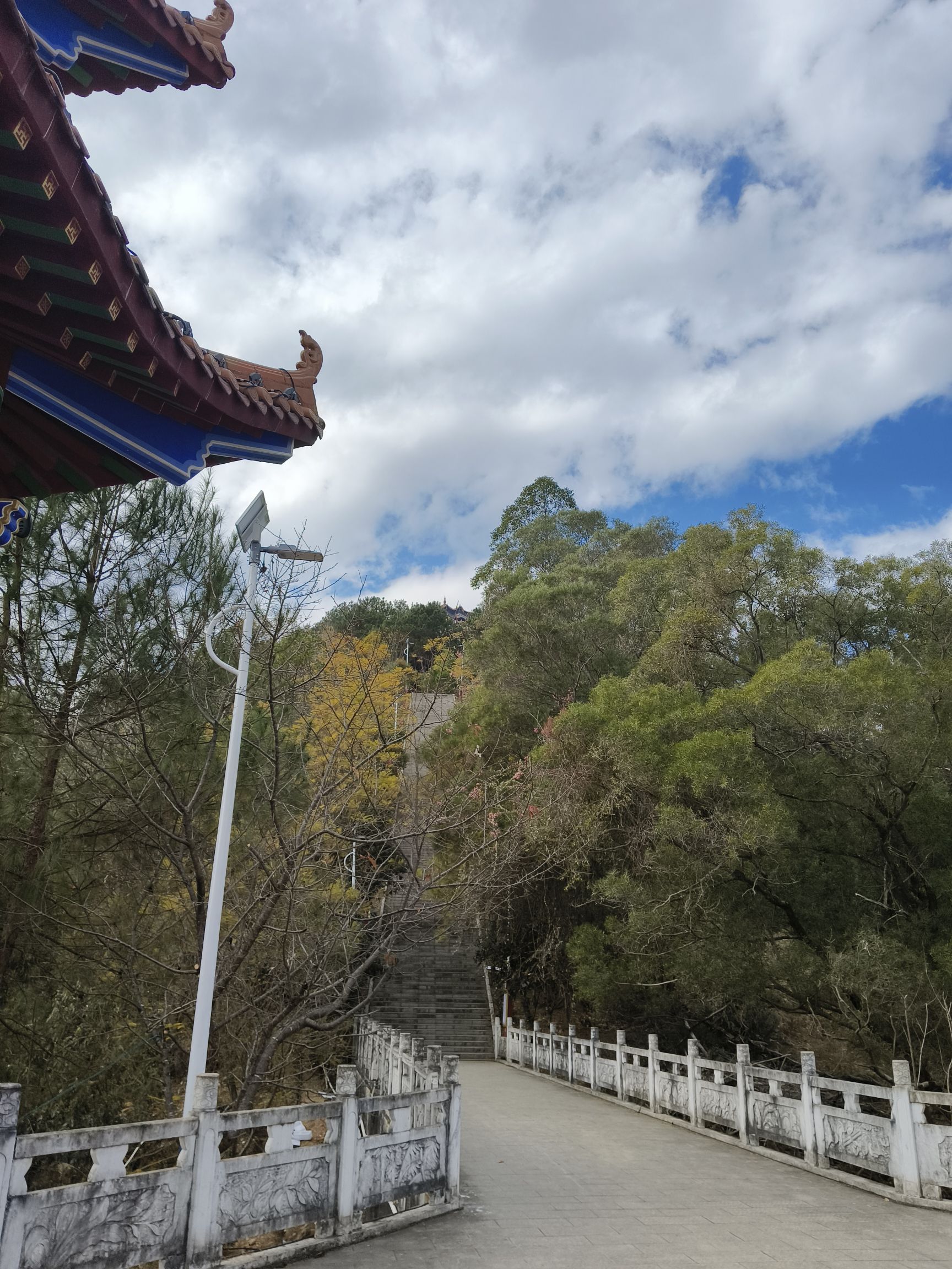 金字岭公园旅行图片 3