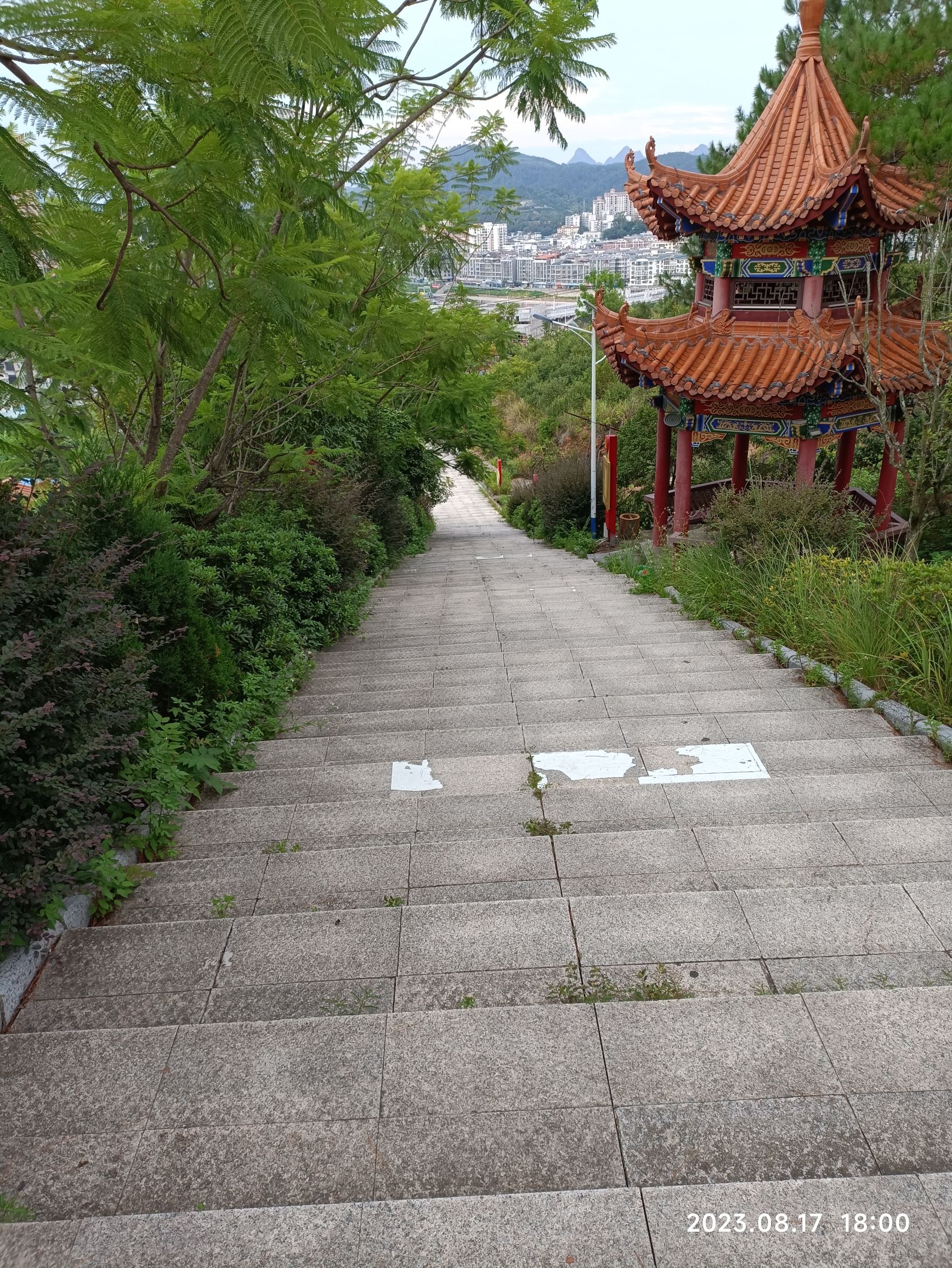 金字岭公园旅行图片 3