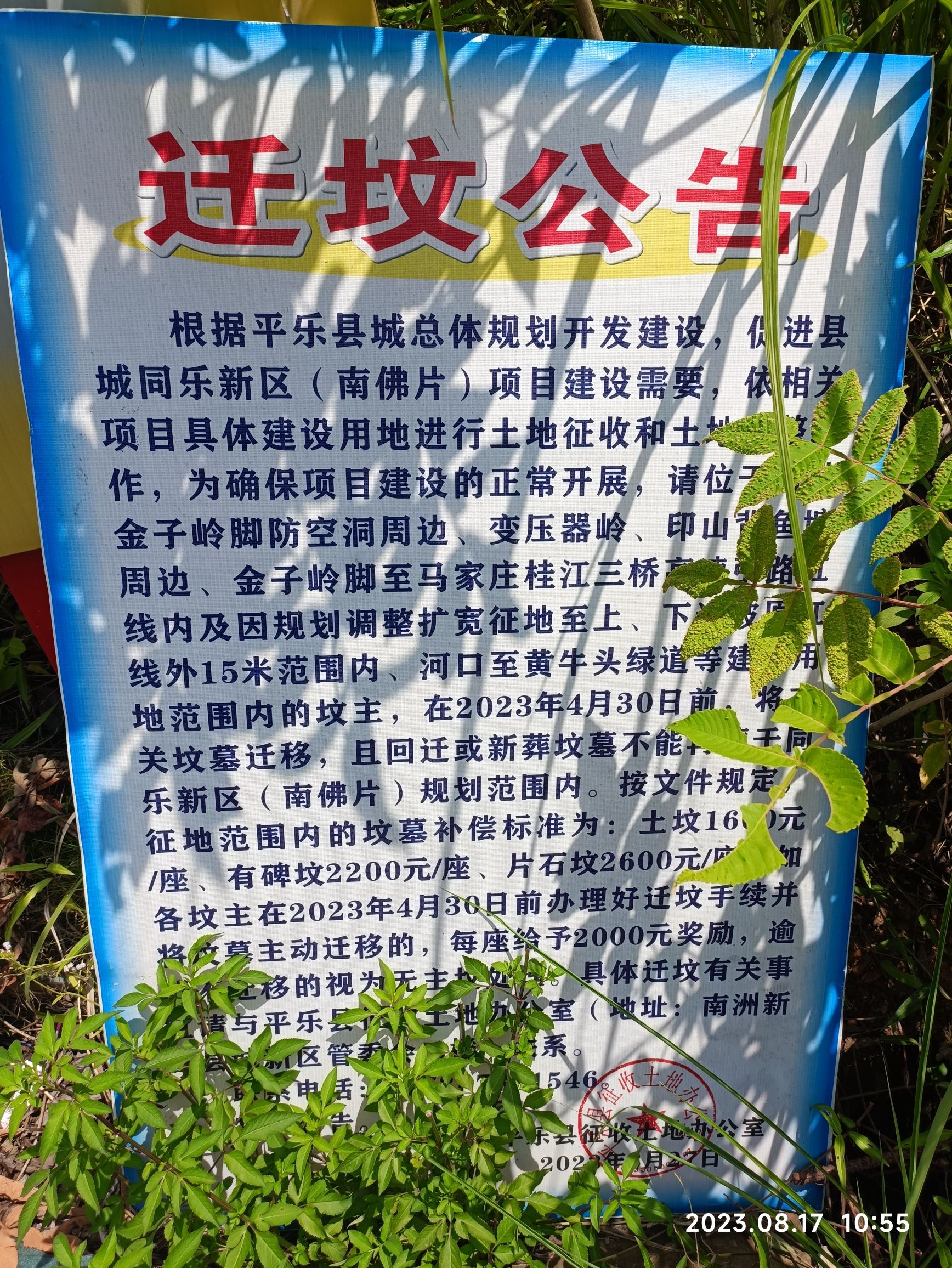 金字岭公园旅行图片 2