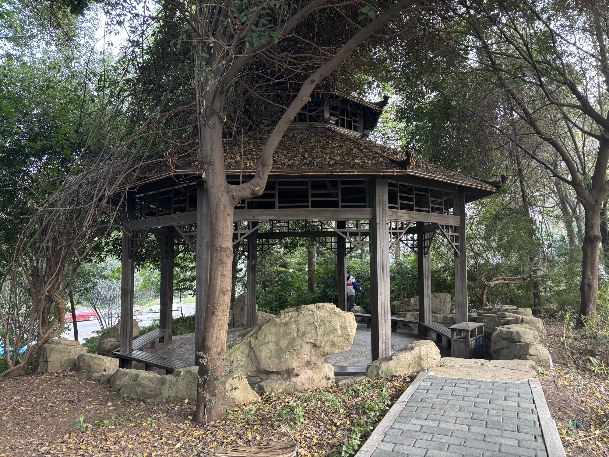 南康公园旅行图片 3