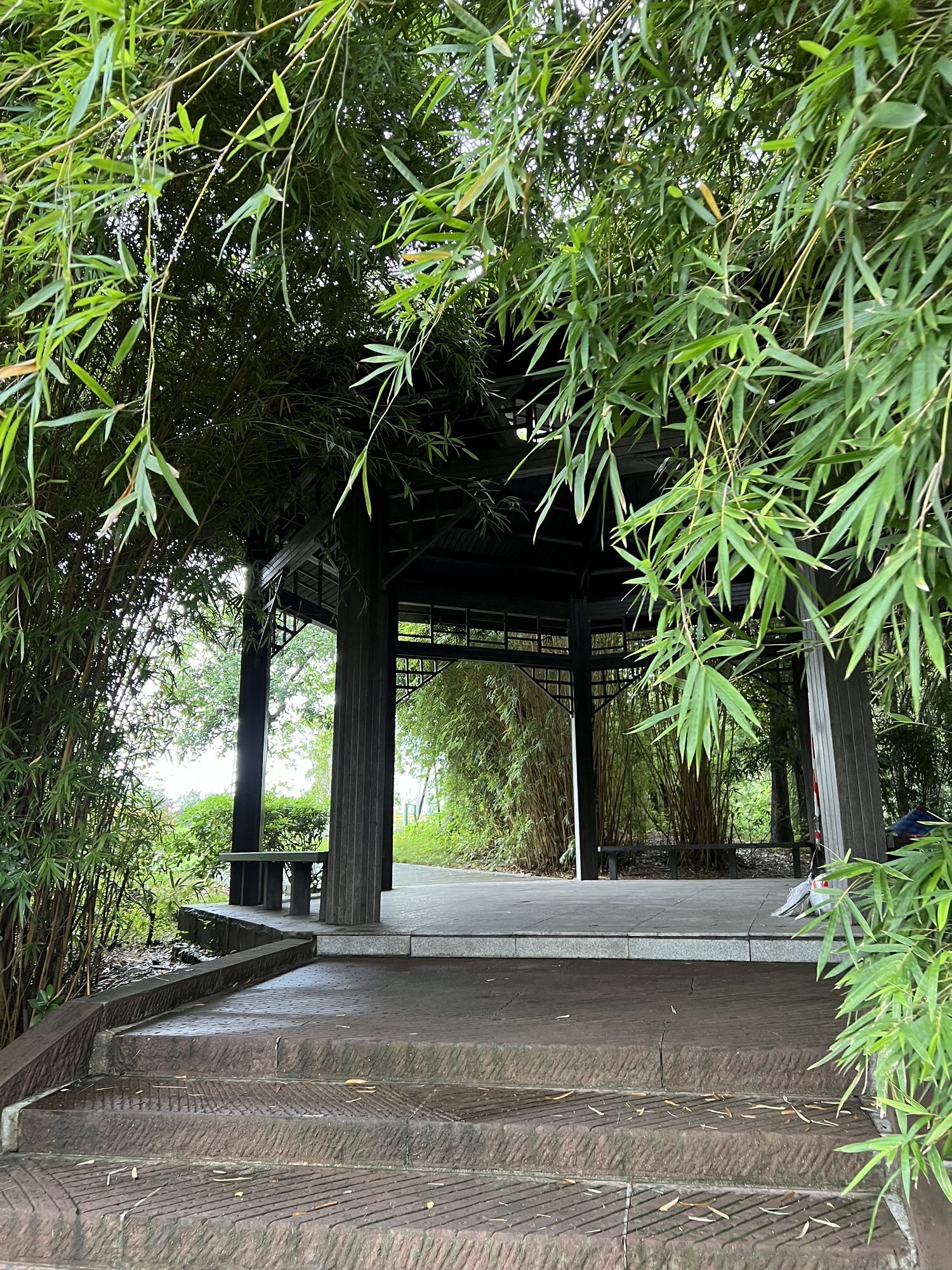 南康公园旅行图片 3
