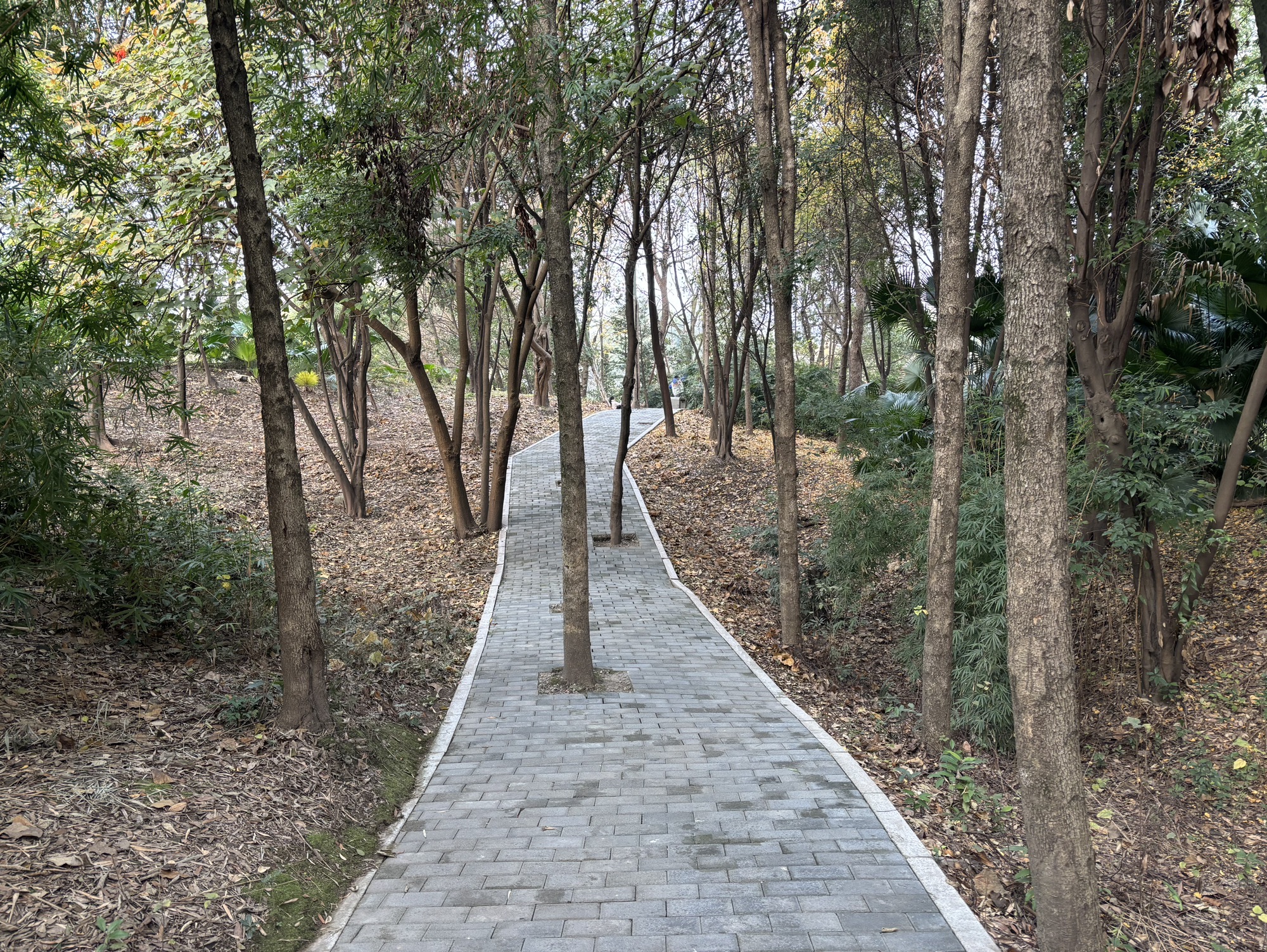 南康公园旅行图片 2