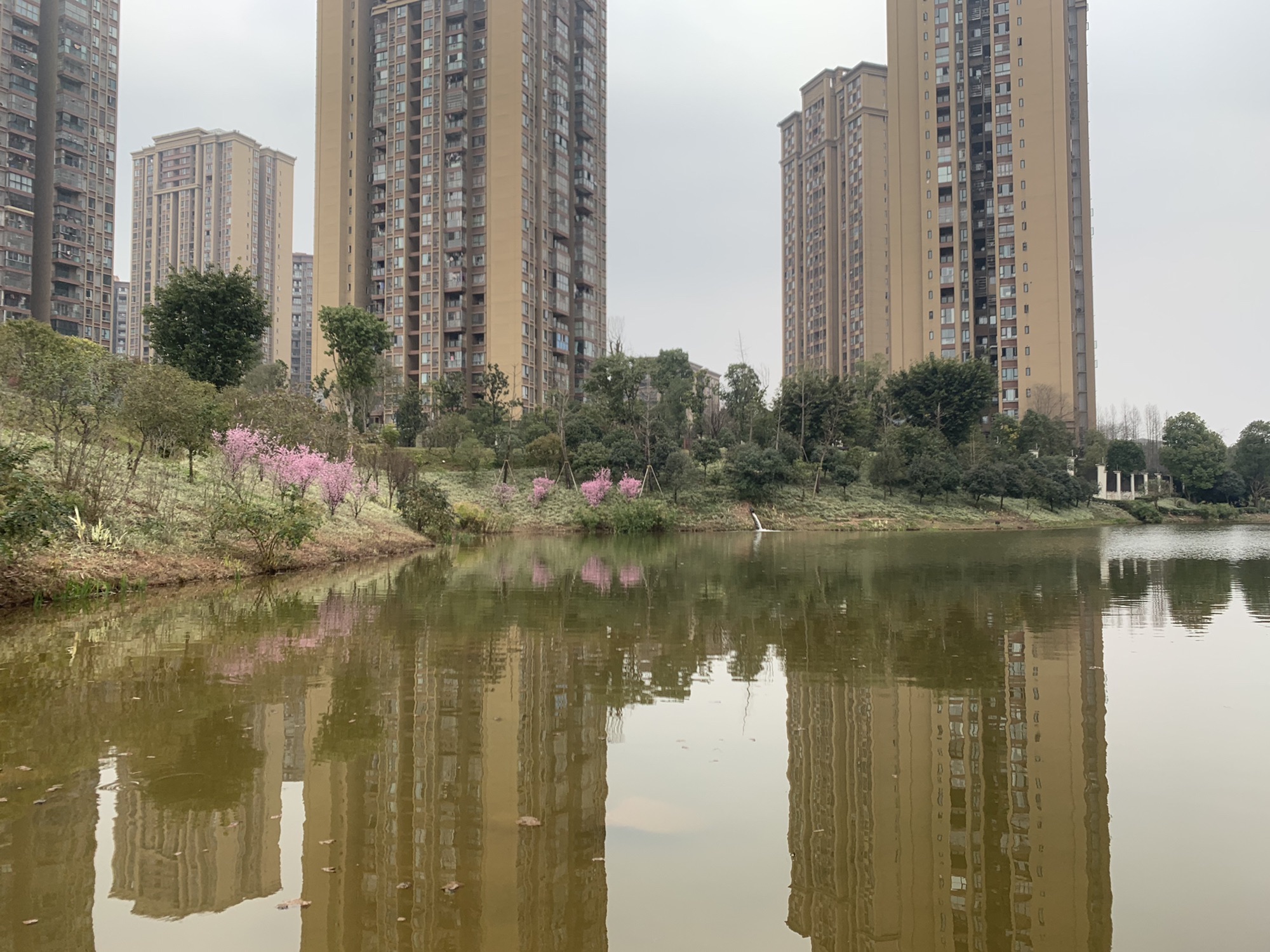 翠微公园旅行图片 3